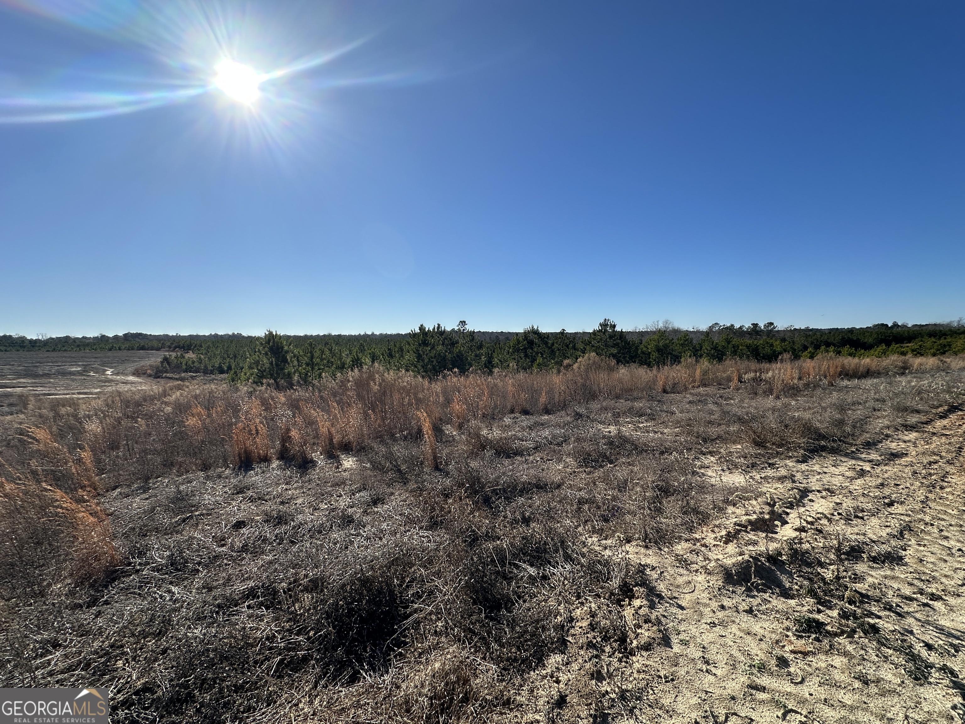 0 Griffin Landing Road Girard, GA 30426 - Photo 17 of 23 a view of a lake with sunset view