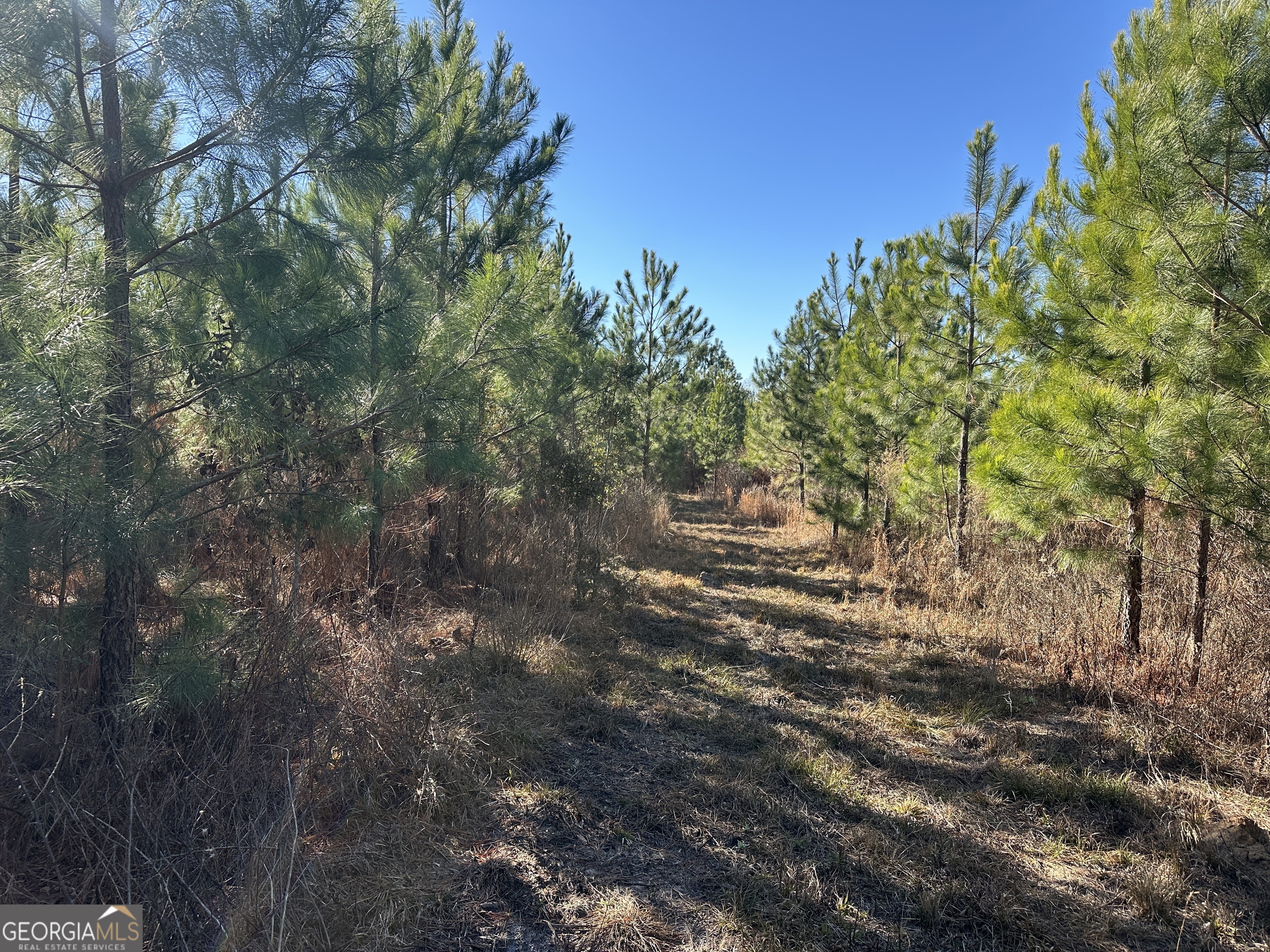0 Griffin Landing Road Girard, GA 30426 - Photo 18 of 23 a backyard of a house with lots of green space