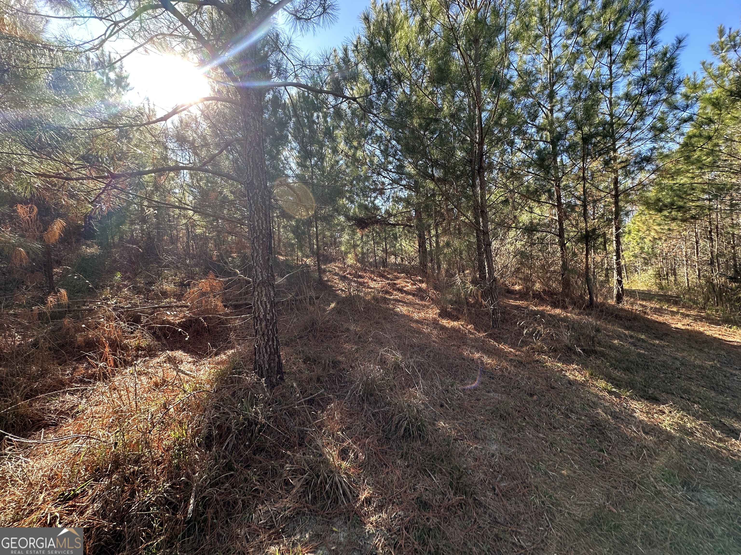 0 Griffin Landing Road Girard, GA 30426 - Photo 19 of 23 a view of outdoor space and trees