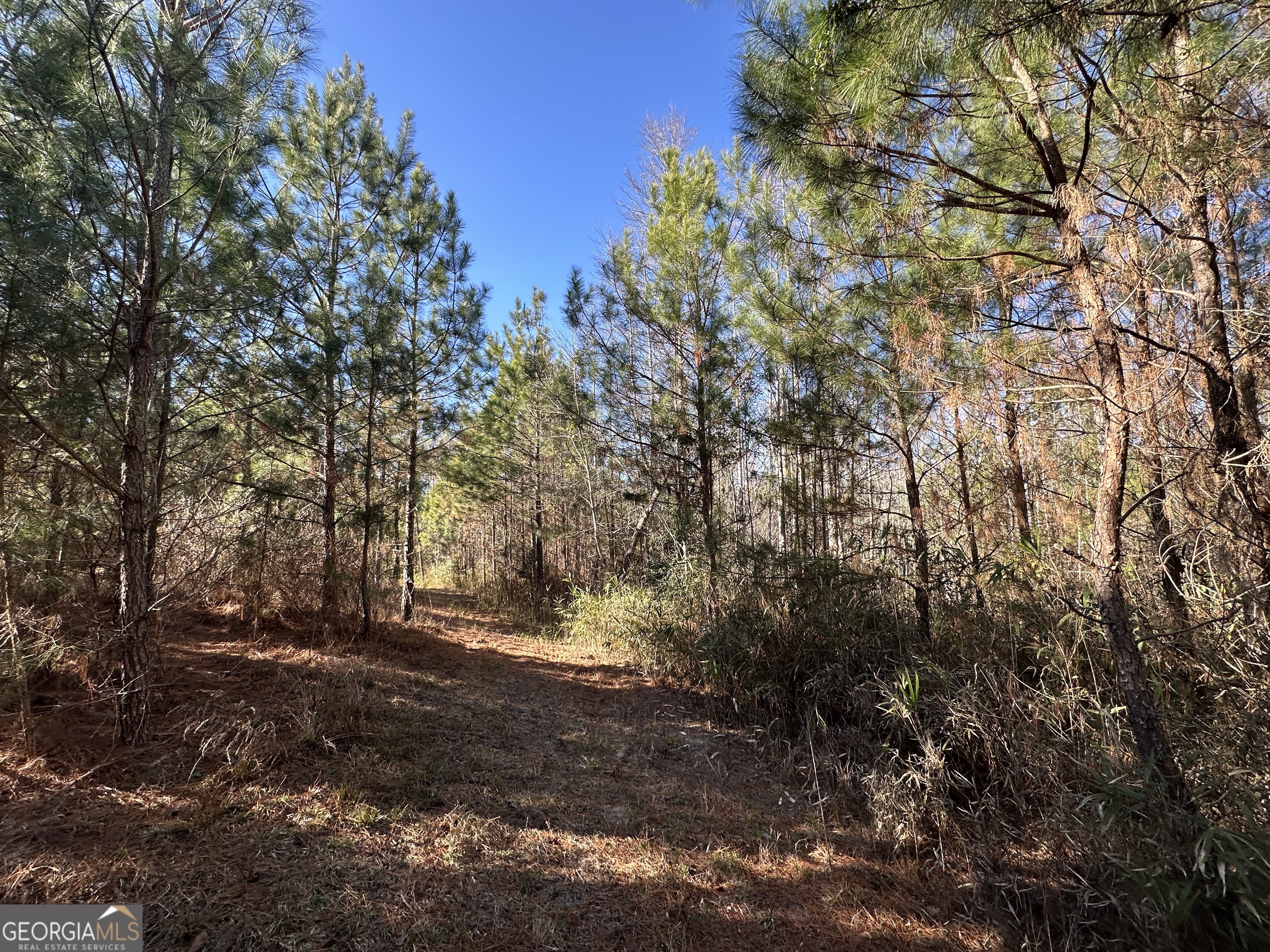 0 Griffin Landing Road Girard, GA 30426 - Photo 20 of 23 a view of outdoor space with trees
