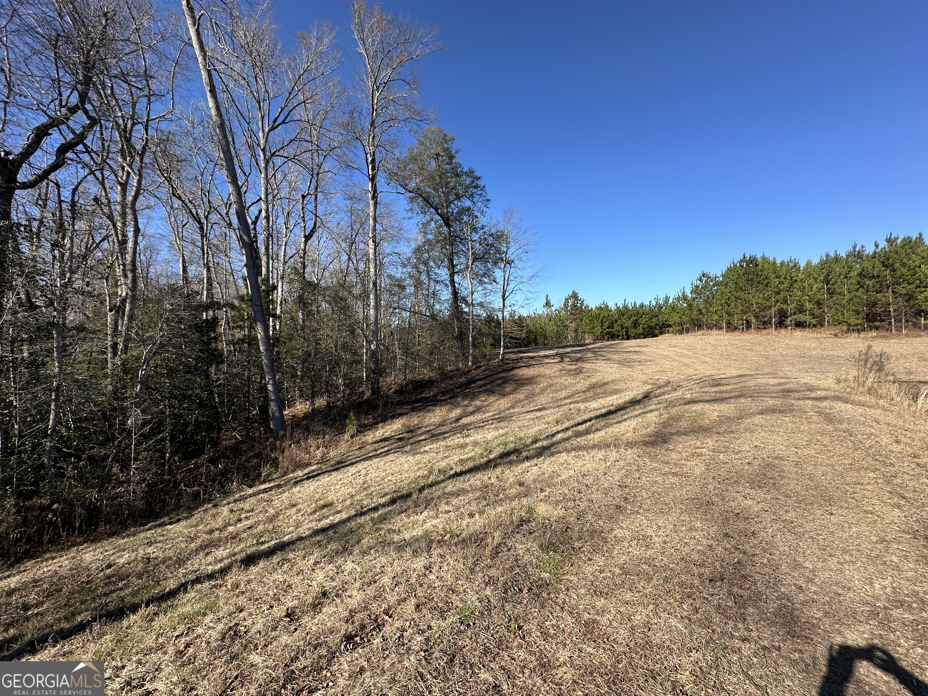 0 Griffin Landing Road Girard, GA 30426 - Photo 2 of 23 a view of mountain view with trees
