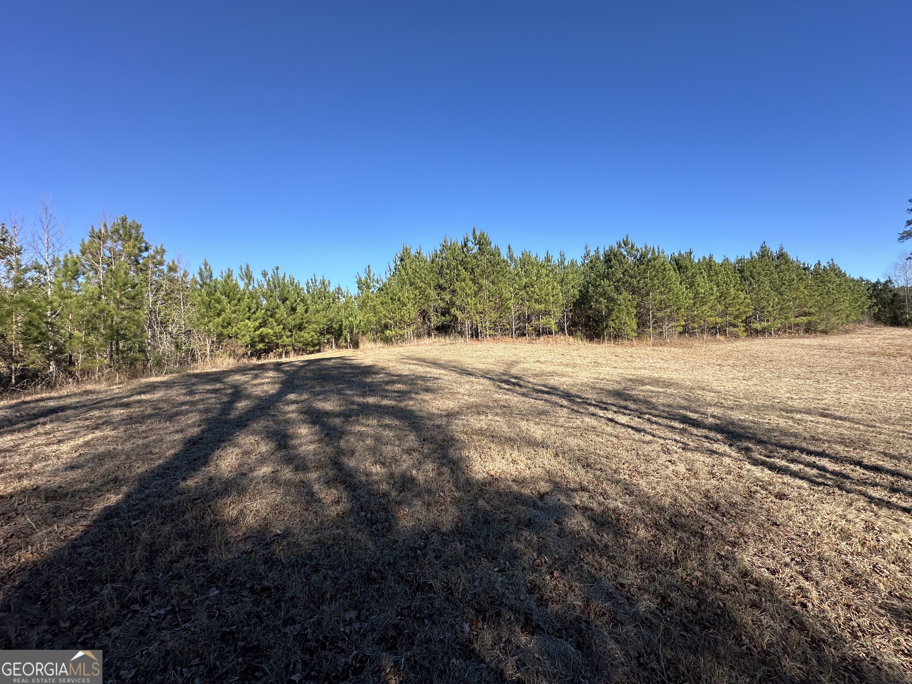 0 Griffin Landing Road Girard, GA 30426 - Photo 21 of 23 a view of an ocean beach