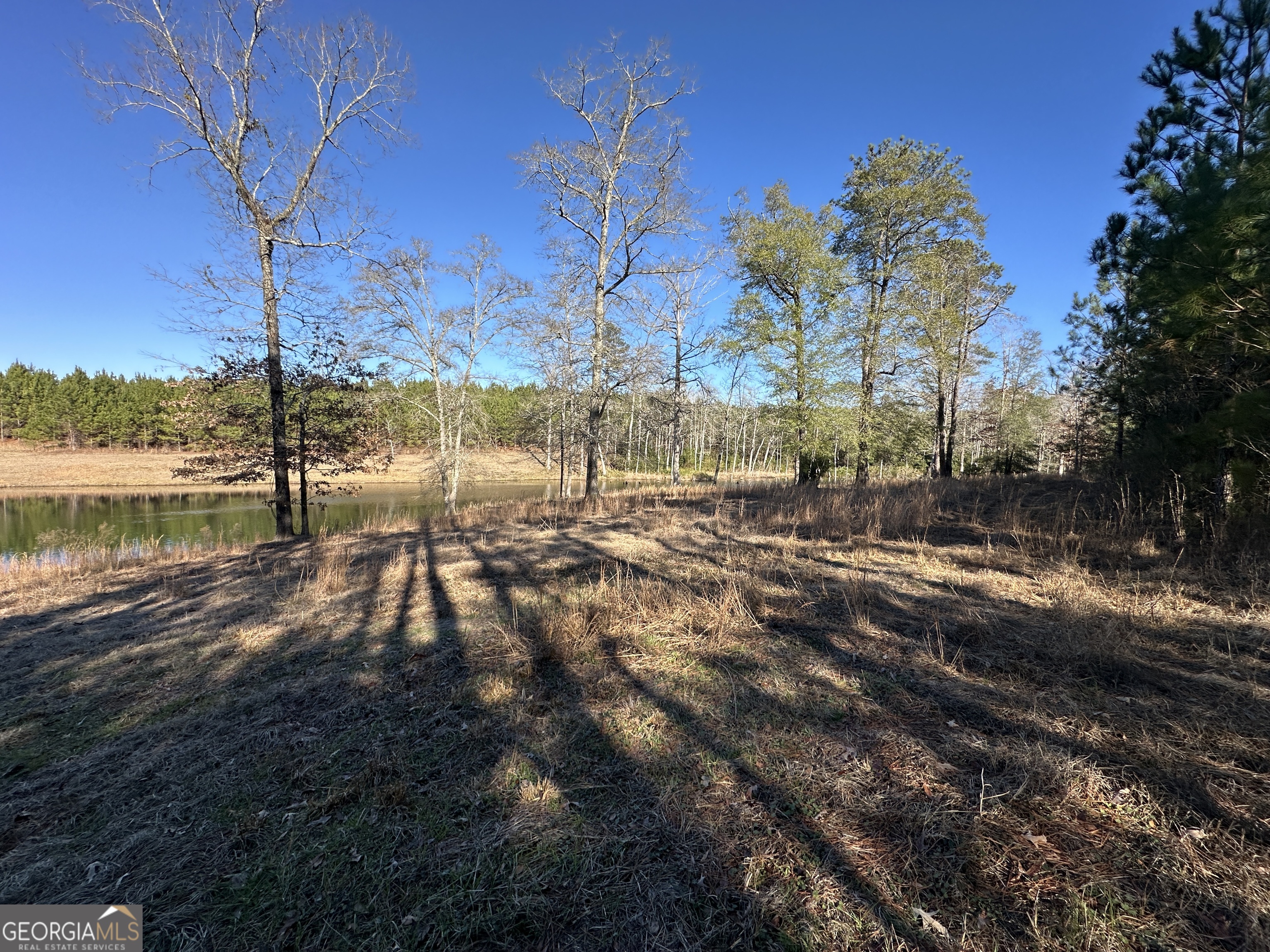 0 Griffin Landing Road Girard, GA 30426 - Photo 22 of 23 a view of a lake with houses