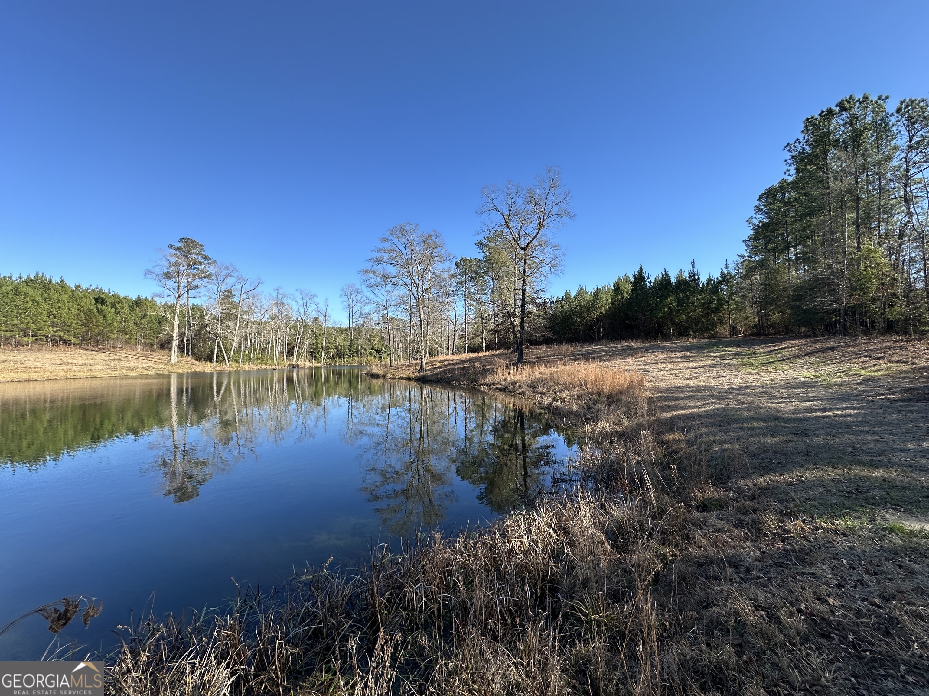 0 Griffin Landing Road Girard, GA 30426 - Photo 4 of 23 a view of a lake view with boat