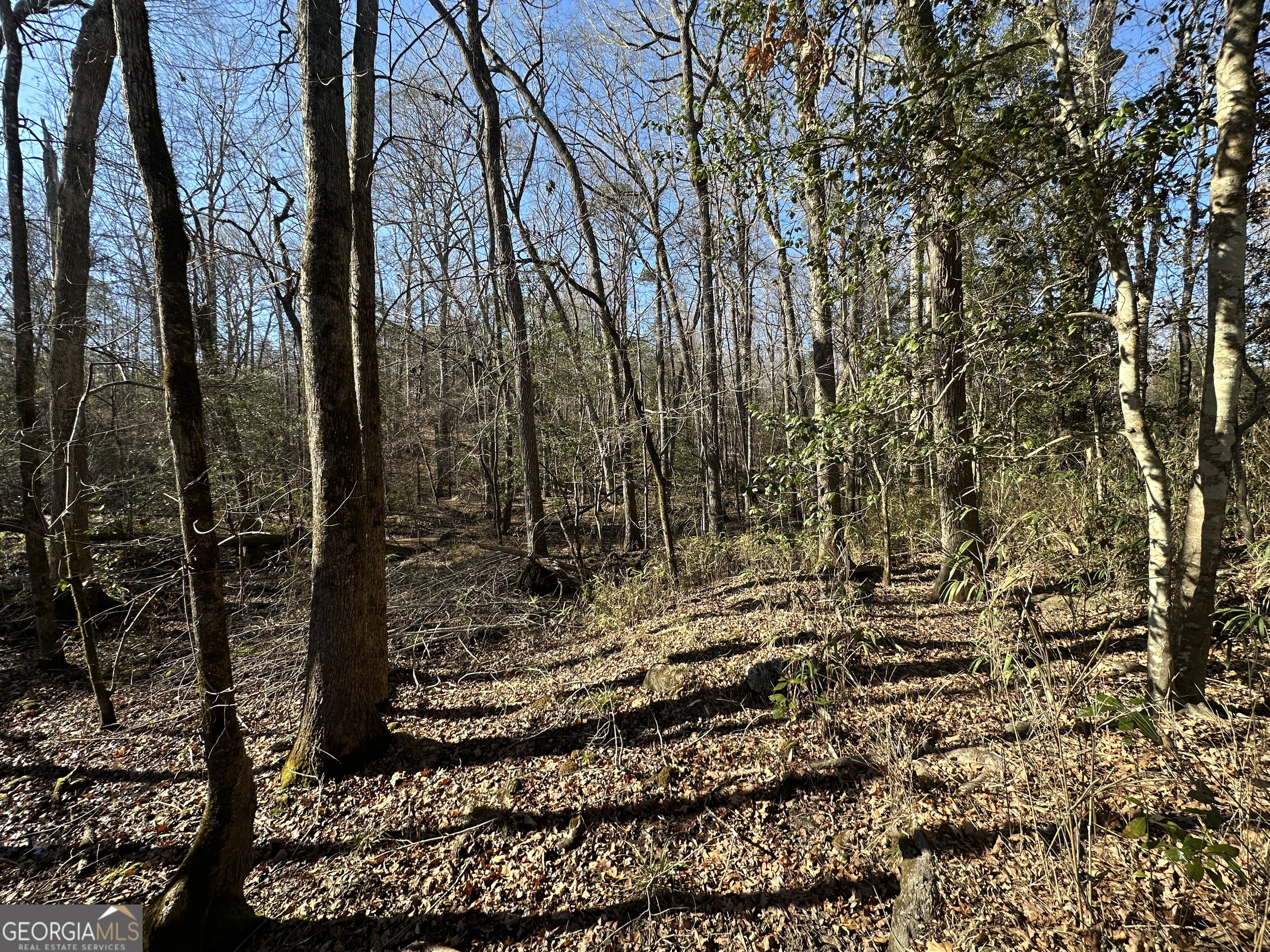0 Griffin Landing Road Girard, GA 30426 - Photo 5 of 23 a view of a yard with large trees