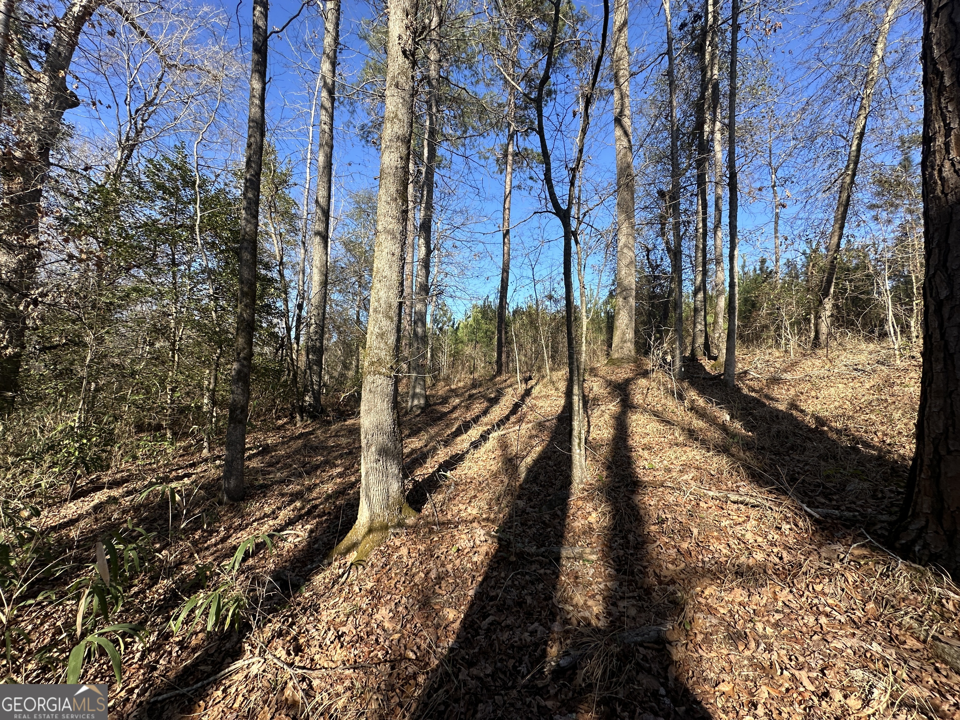 0 Griffin Landing Road Girard, GA 30426 - Photo 7 of 23 a view of a pathway of a yard