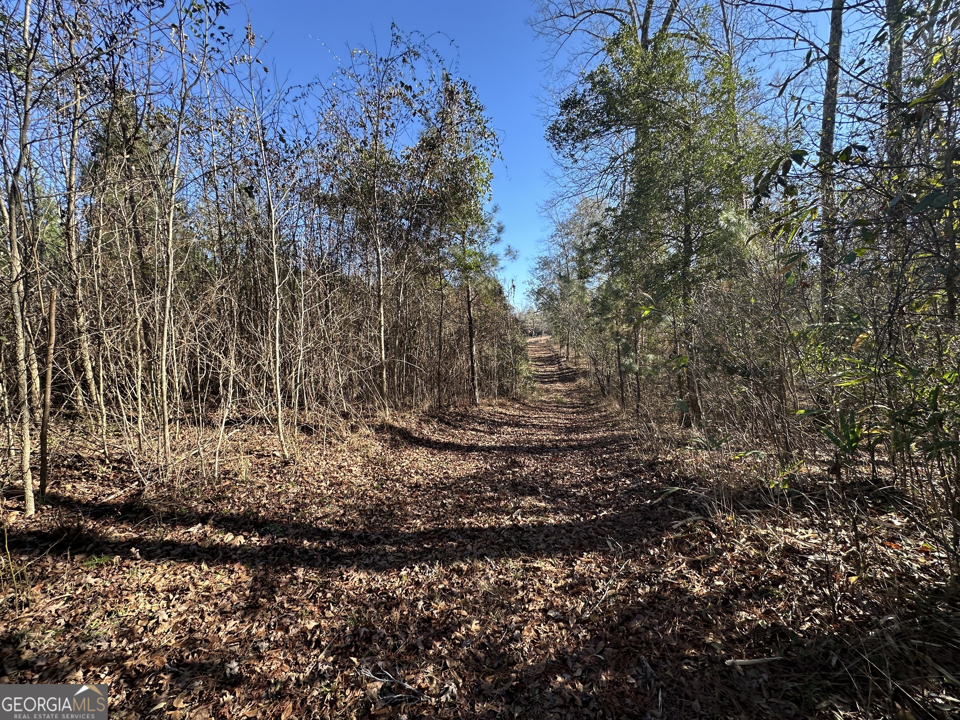 0 Griffin Landing Road Girard, GA 30426 - Photo 8 of 23 a view of outdoor space and a yard