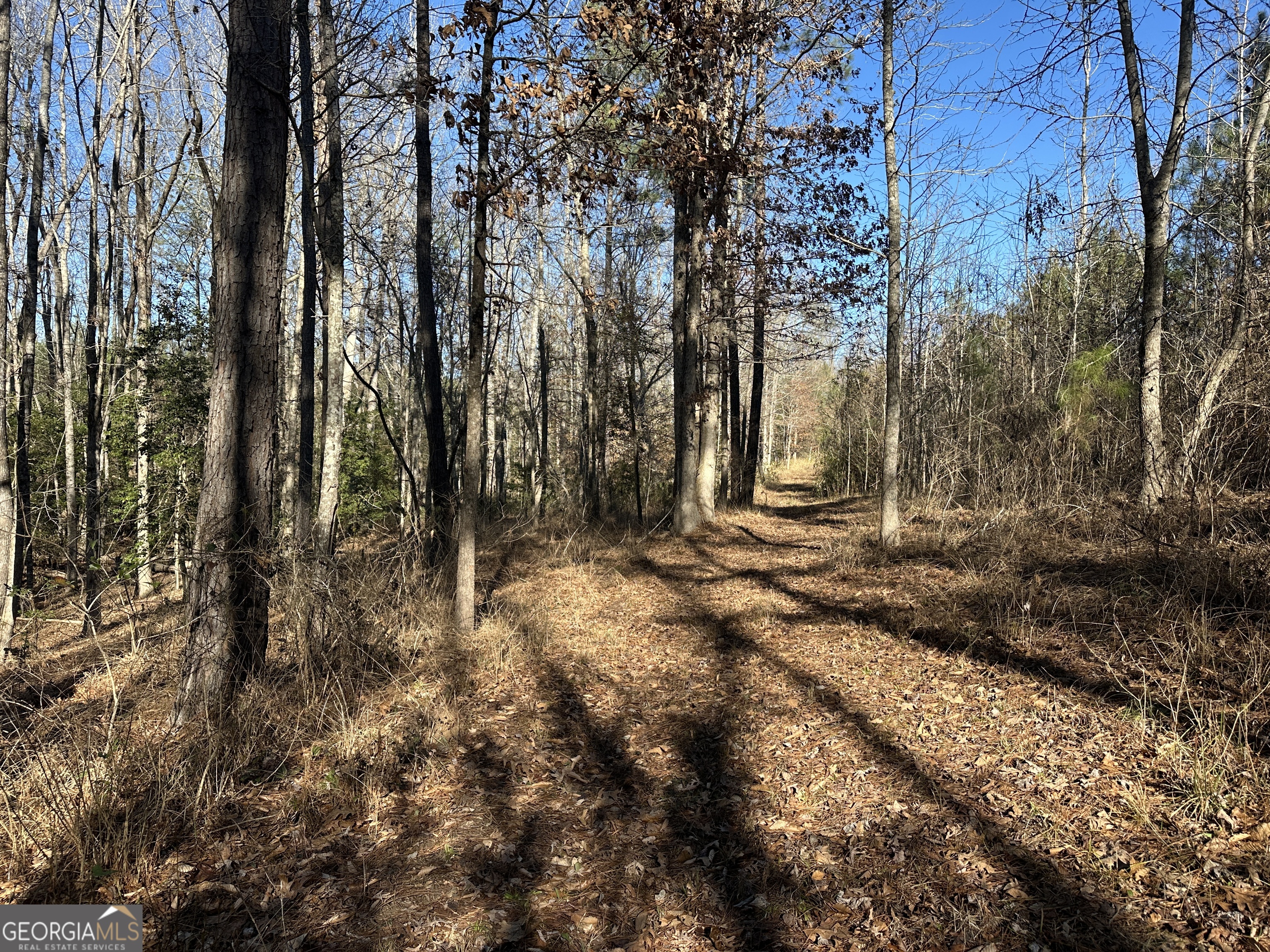 0 Griffin Landing Road Girard, GA 30426 - Photo 9 of 23 a view of backyard with green space