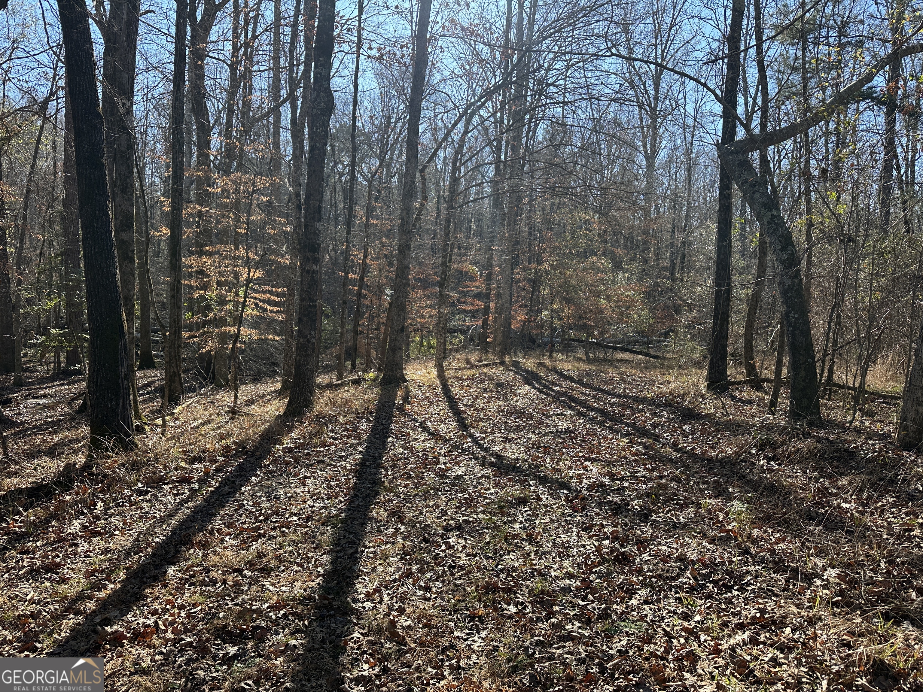 0 Griffin Landing Road Girard, GA 30426 - Photo 10 of 23 a view of a yard with lots of green space