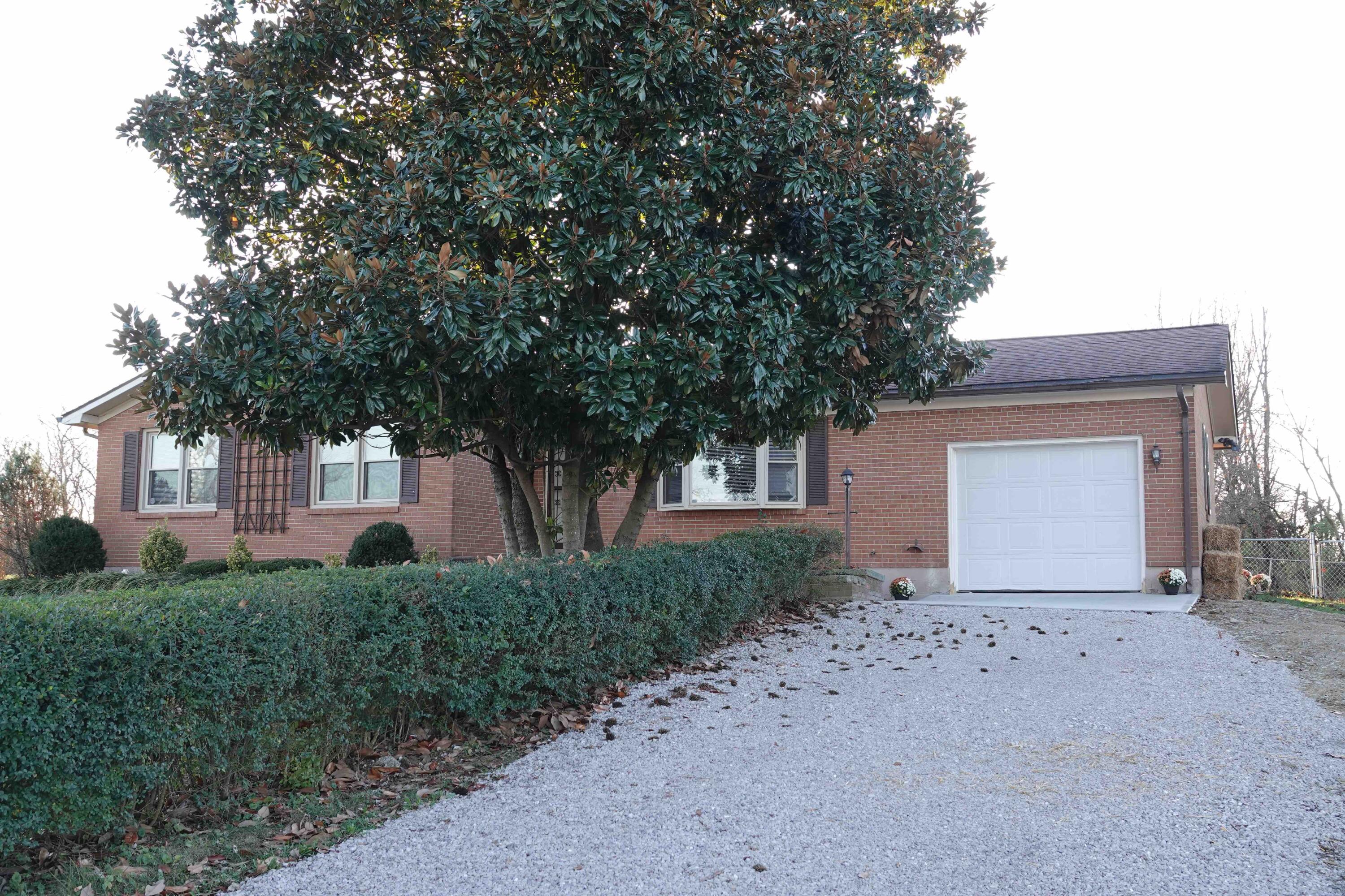 951 Ruddles Mill Road Paris, KY 40361 - Photo 16 of 16 DSC01132
