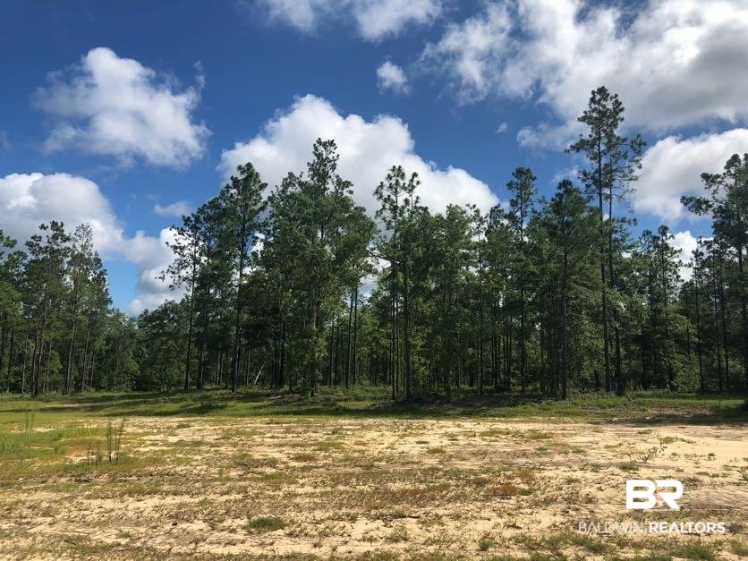 12359 Red Hill Rd Extension Bay Minette, AL 36507 - Photo 6 of 16
