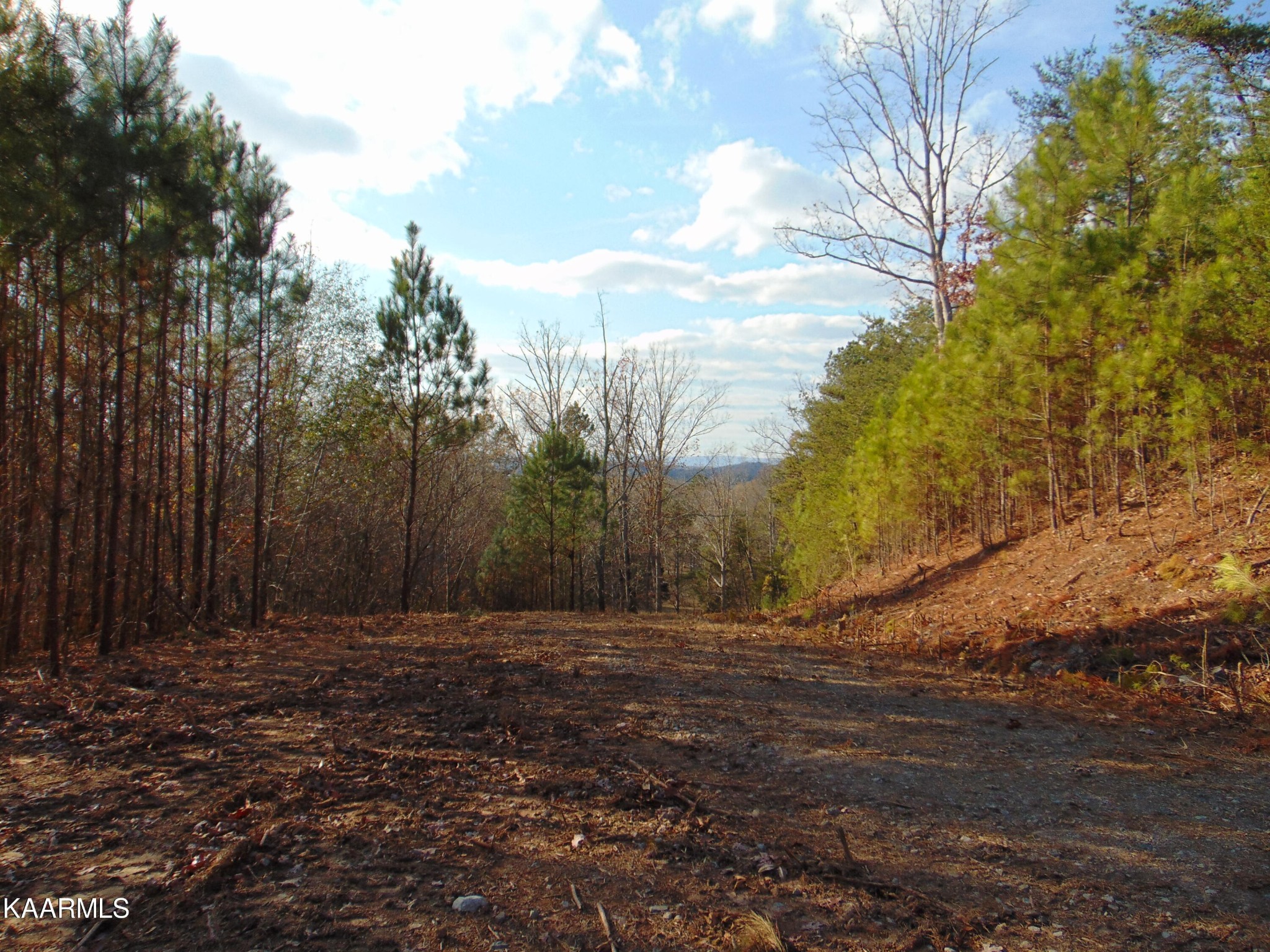 738 Lamontville Road Decatur, TN 37322 - Photo 10 of 60