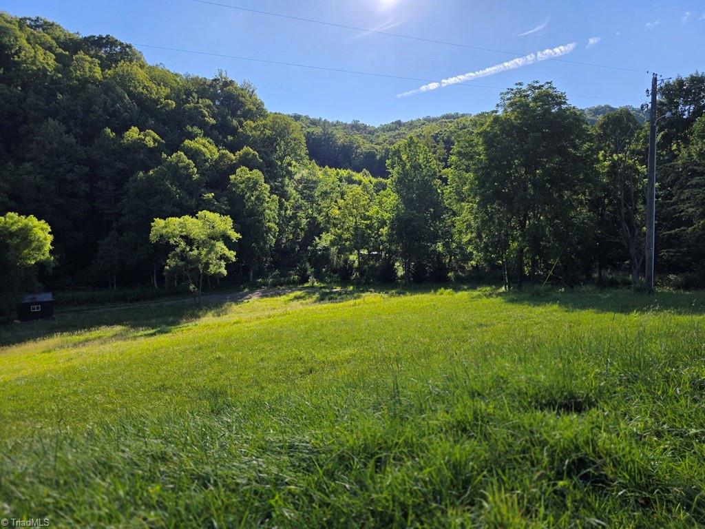3205 Sheets Gap Road Millers Creek, NC 28651 - Photo 13 of 46