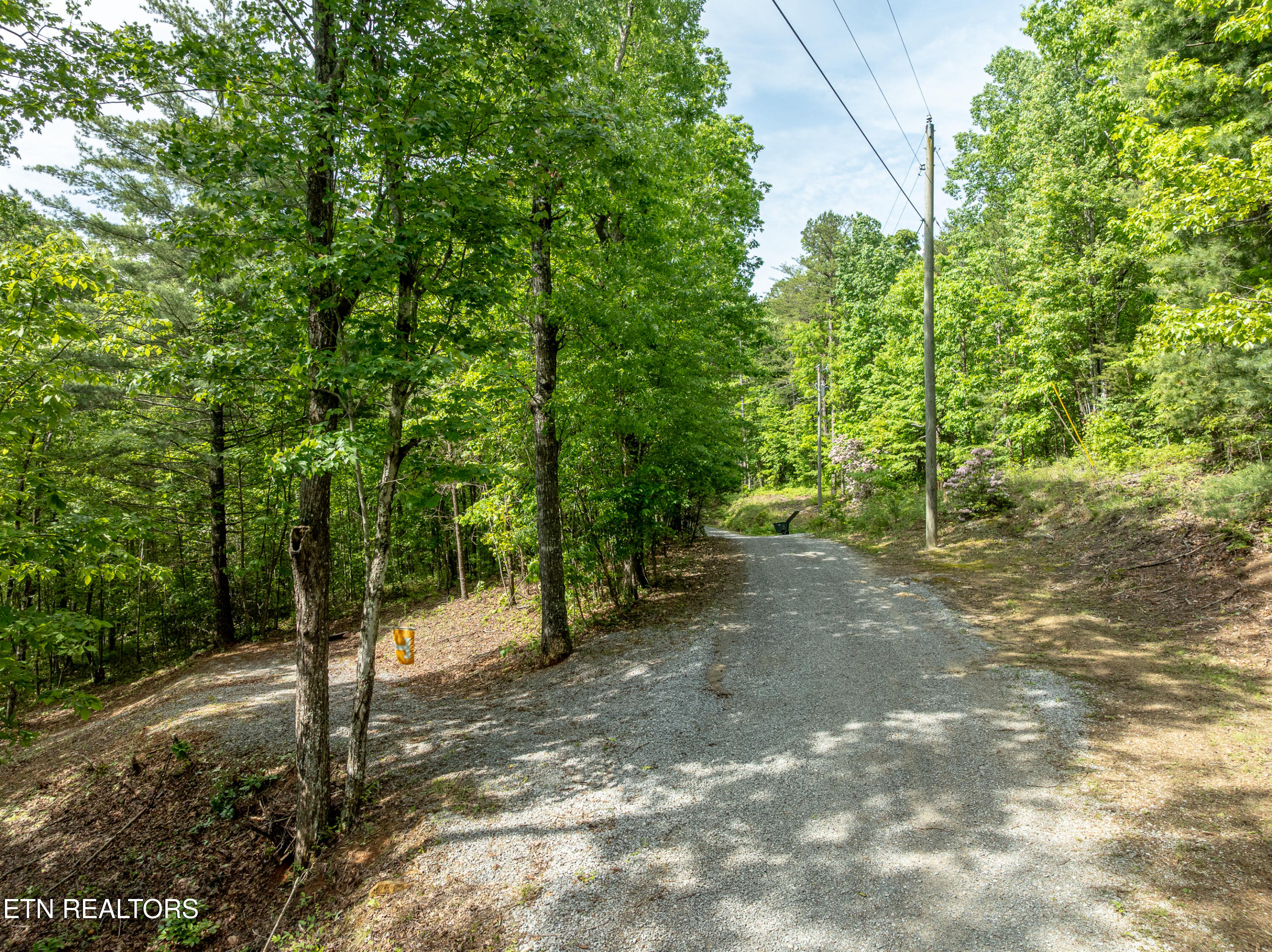 6163 Sandy Stand Road Tallassee, TN 37878 - Photo 6 of 26 DJI_0248