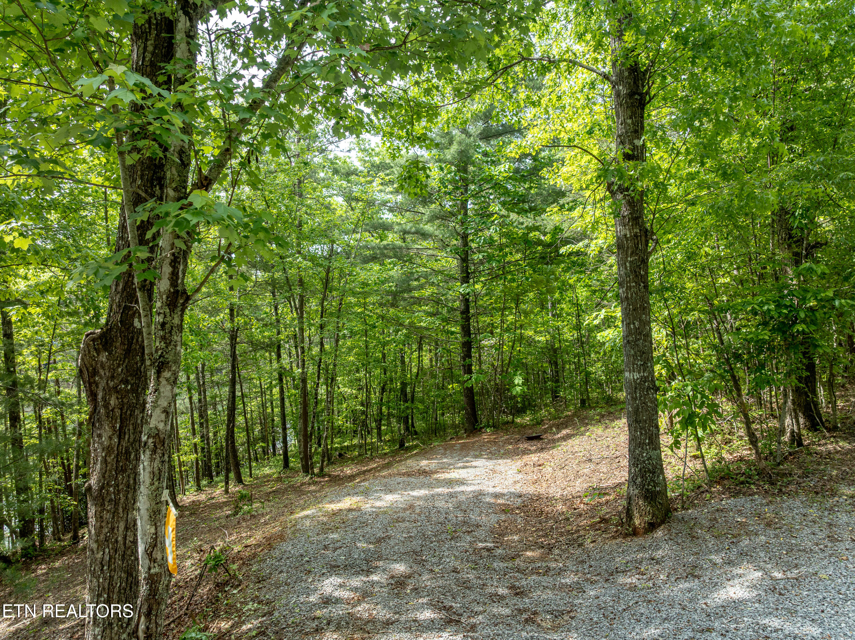 6163 Sandy Stand Road Tallassee, TN 37878 - Photo 7 of 26 DJI_0249