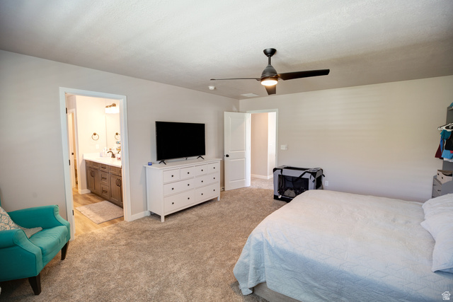 983 South 950 West Provo, UT 84601 - Photo 16 of 56 Spacious bedroom with light-toned wall paint and plush carpeting