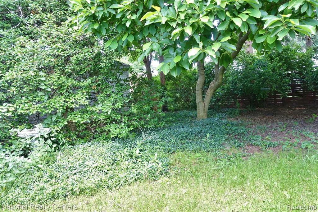 24130 Ross Street Dearborn, MI 48124 - Photo 6 of 9