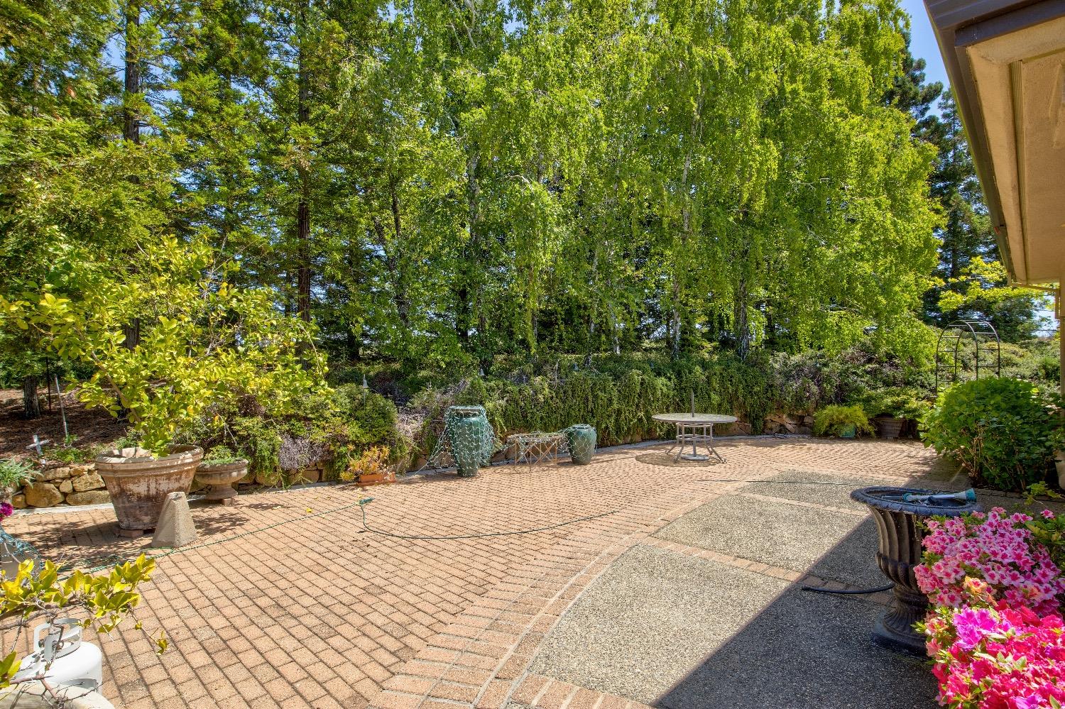 13320 Oakstream Road Plymouth, CA 95669 - Photo 48 of 98