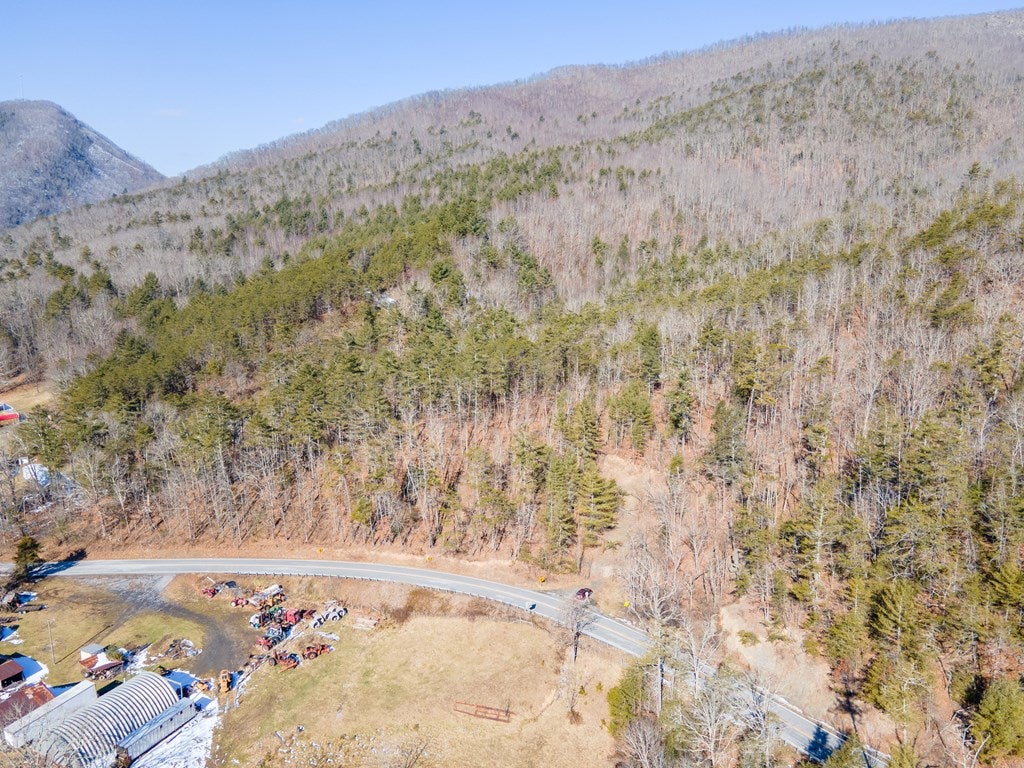 Tbd Wilderness Road Bland, VA 24315 - Photo 4 of 19 Gallery Image 4