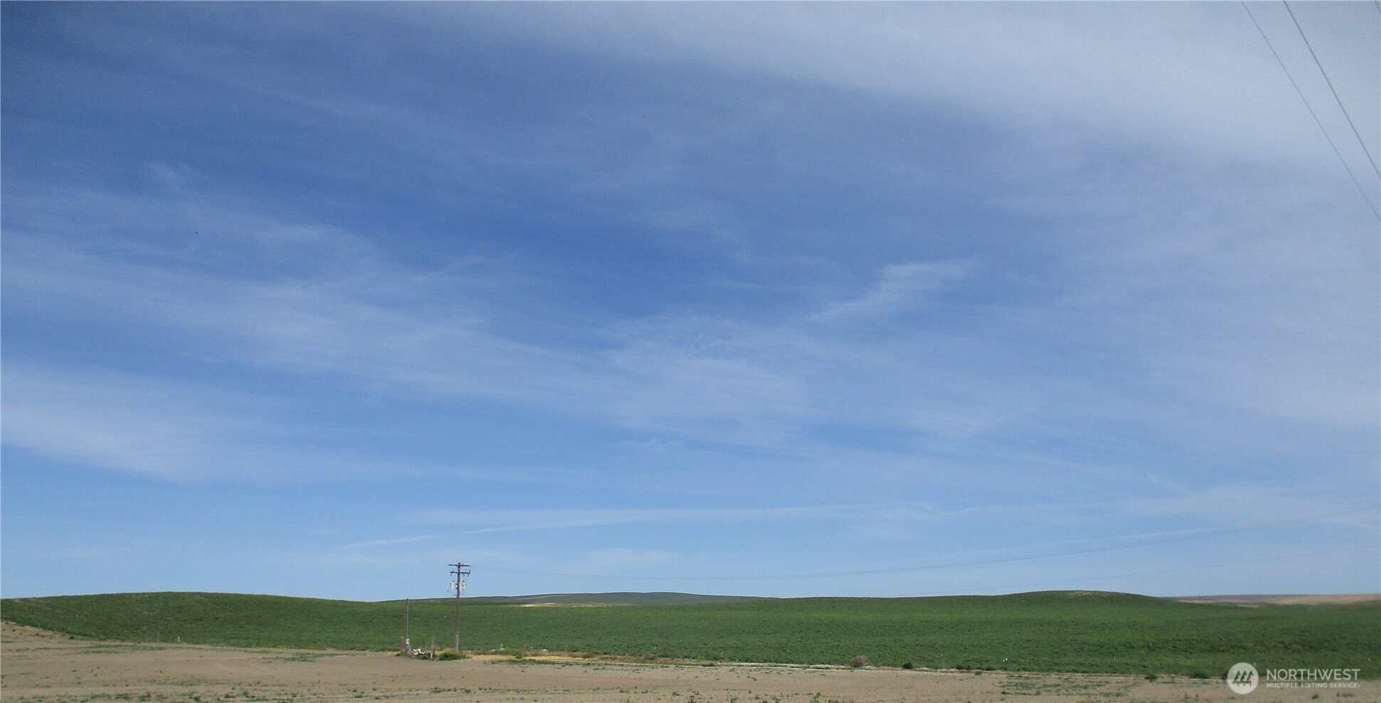 669 Cummins Road Touchet, WA 99360 - Photo 5 of 13 a view of a field with trees in background