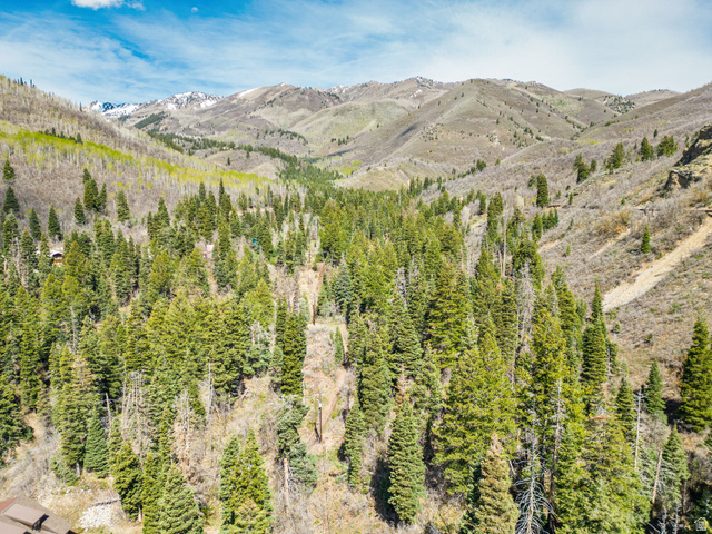 20 Success Trail, Unit 20 Midway, UT 84049 - Photo 7 of 18 Mountain view