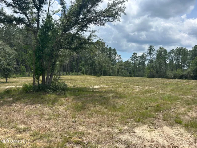 $86,500 | 1 Hwy 603 Highway, Kiln, MS 39556