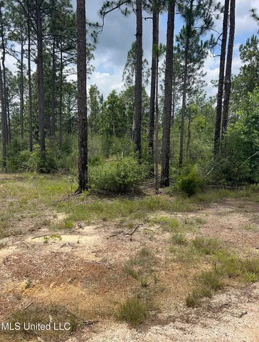 $86,500 | 1 Hwy 603 Highway, Kiln, MS 39556