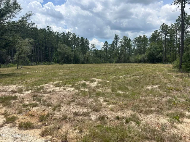 $86,500 | 1 Hwy 603 Highway, Kiln, MS 39556