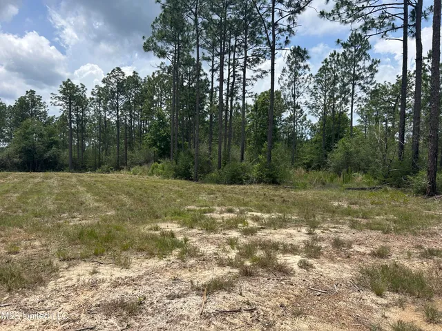$86,500 | 1 Hwy 603 Highway, Kiln, MS 39556