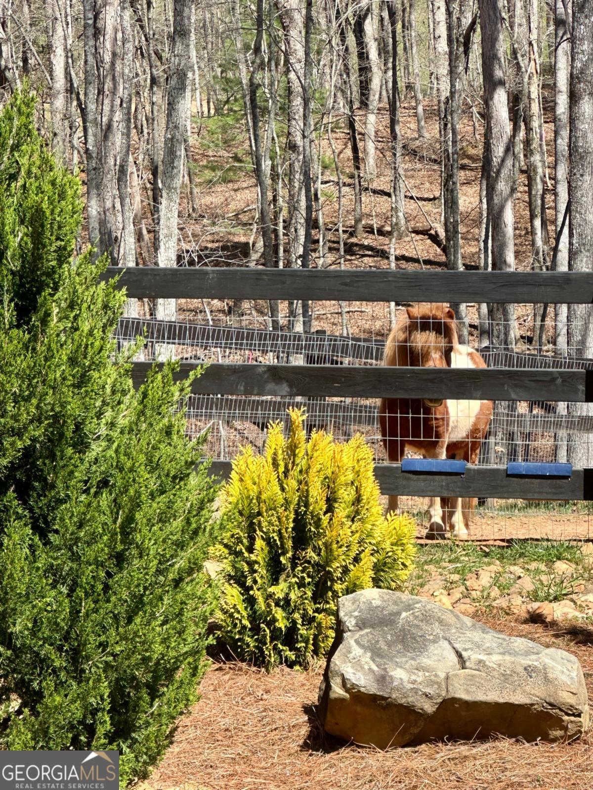 554 Tipton Springs Road Morganton, GA 30560 - Photo 30 of 46