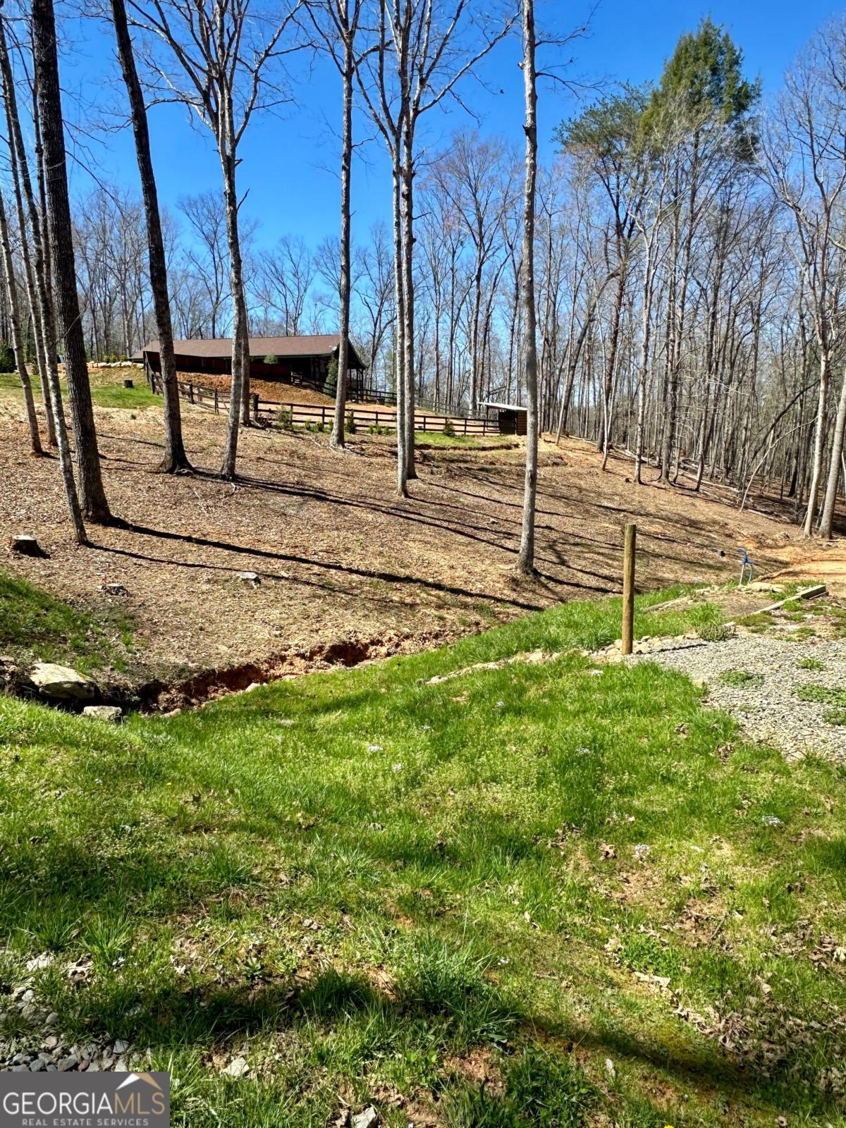 554 Tipton Springs Road Morganton, GA 30560 - Photo 40 of 46
