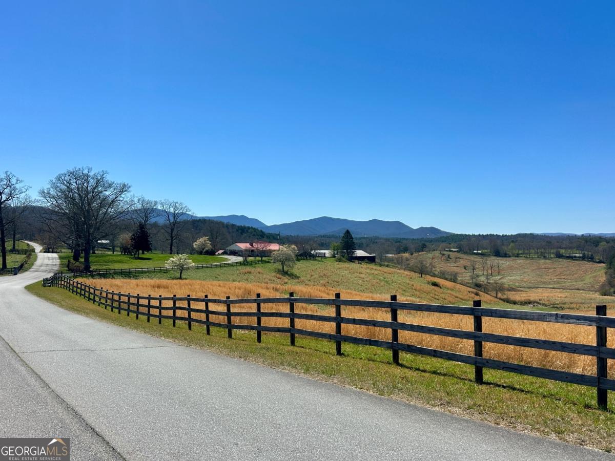 554 Tipton Springs Road Morganton, GA 30560 - Photo 45 of 46