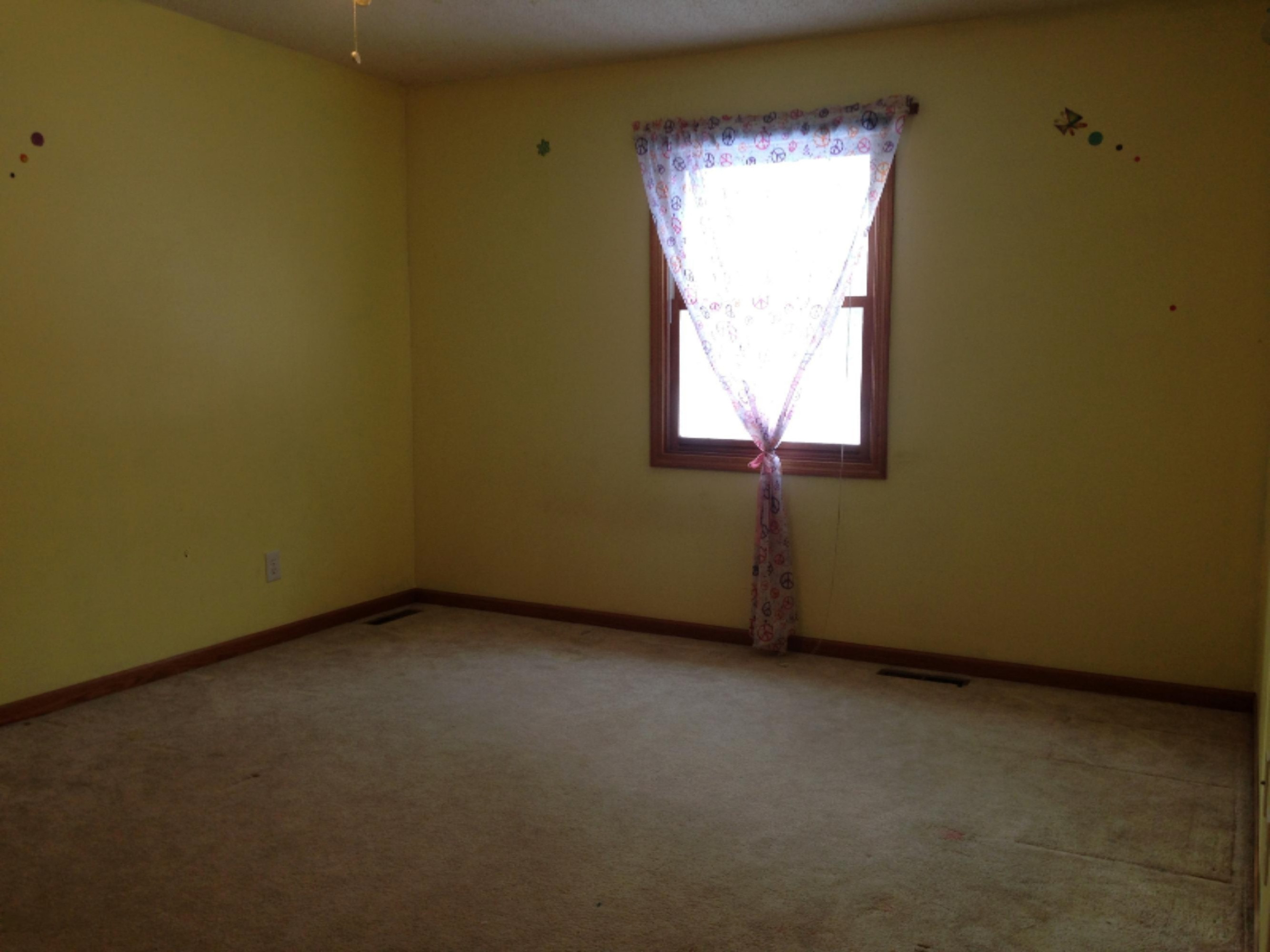5350 Ridge Road Stevensville, MI 49127 - Photo 23 of 32 IMG_2504