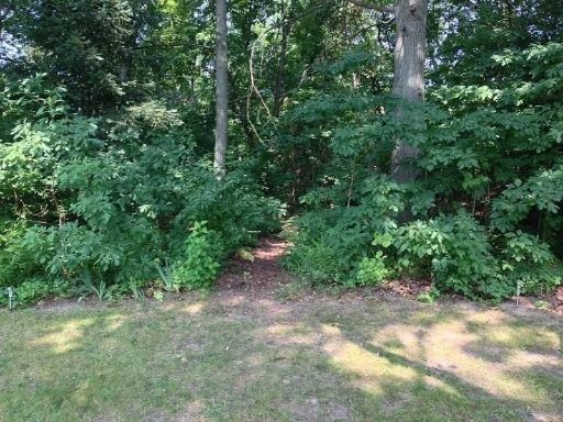 5350 Ridge Road Stevensville, MI 49127 - Photo 29 of 32 ridge 4