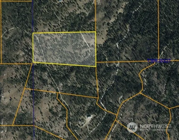 a view of outdoor space with wooden floor