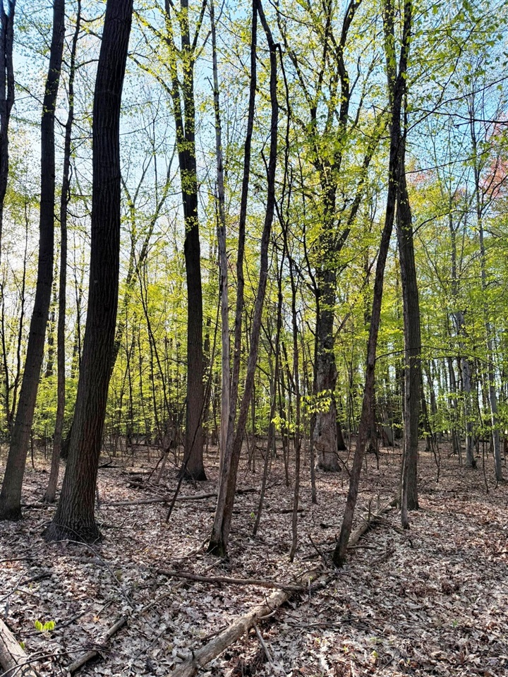 0 West Adams Road Hesperia, MI 49421 - Photo 23 of 74