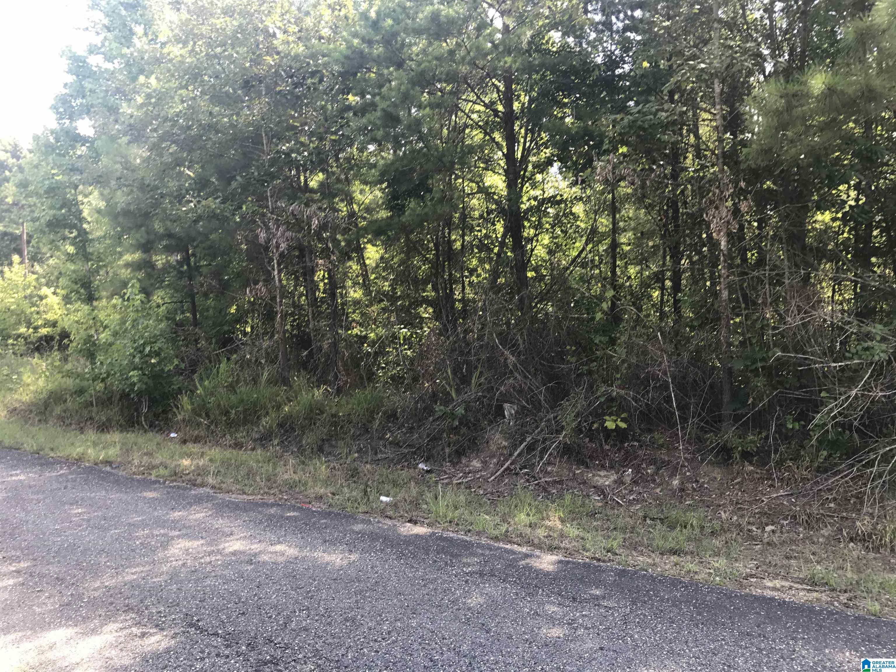 Tract G Mill Creek Road, Unit G Nauvoo, AL 35578 - Photo 2 of 5