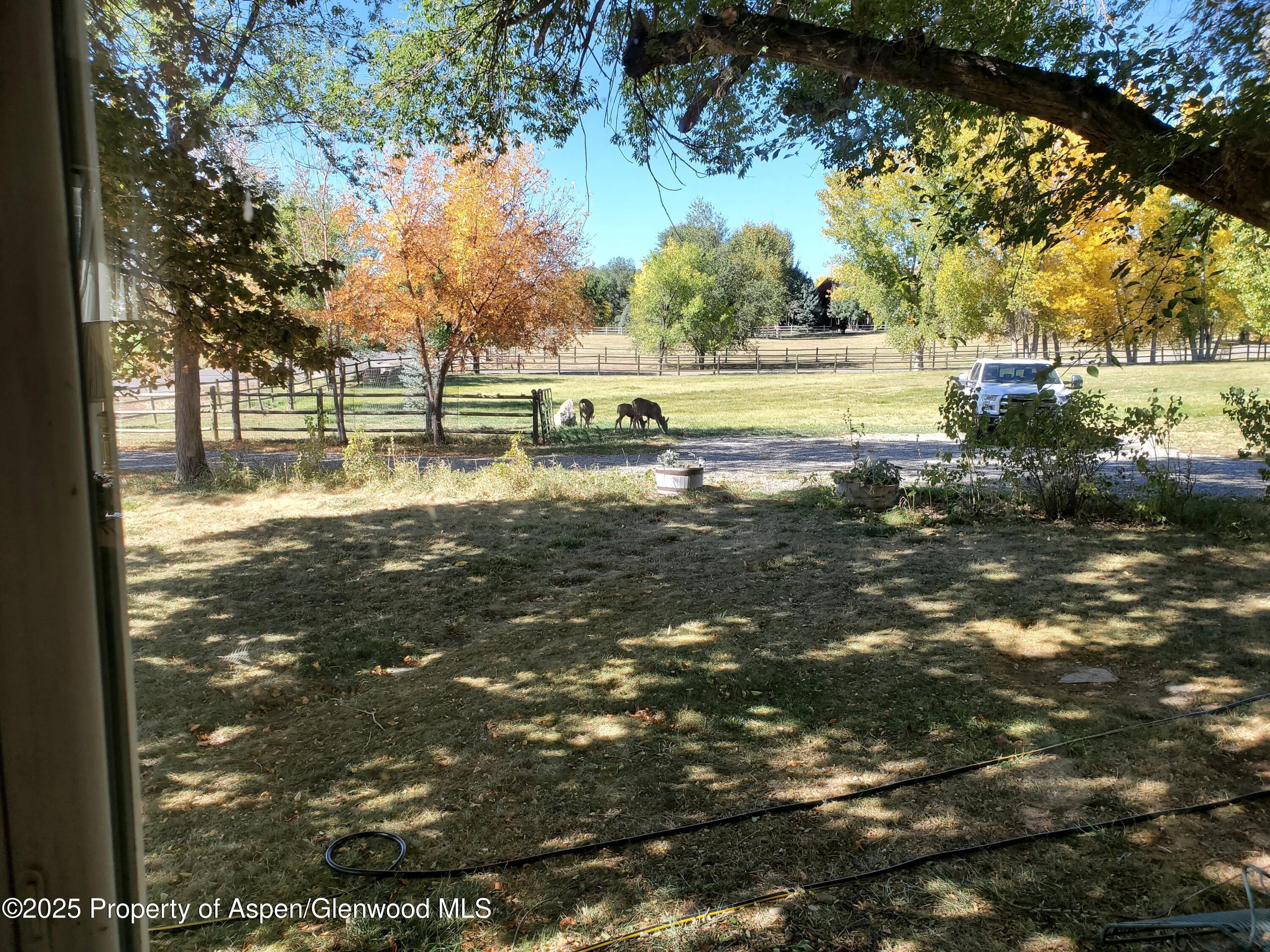 4243 Peach Valley Road Silt, CO 81652 - Photo 11 of 55 20201013_111216