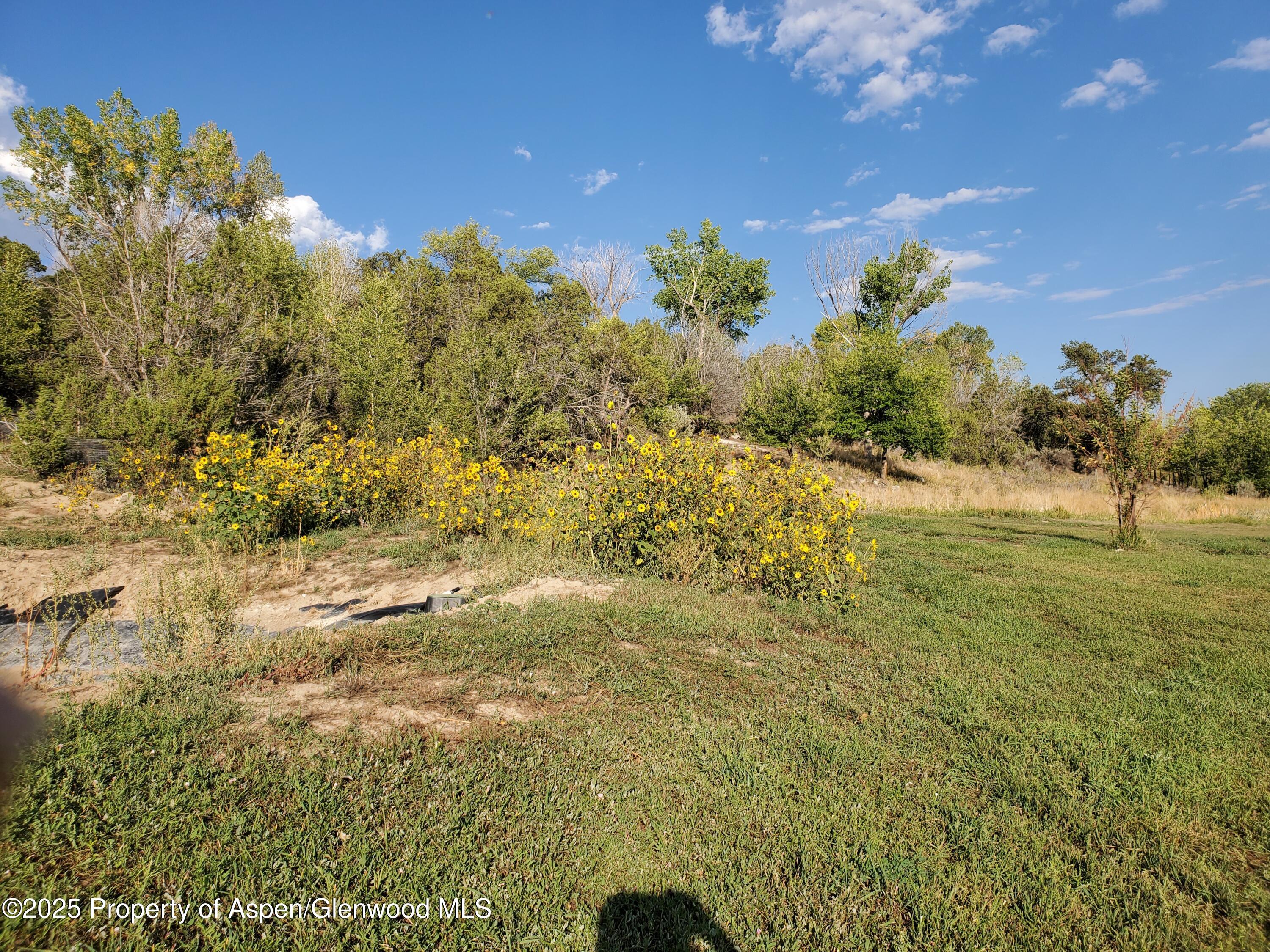 4243 Peach Valley Road Silt, CO 81652 - Photo 12 of 55 20210904_174516 - Copy