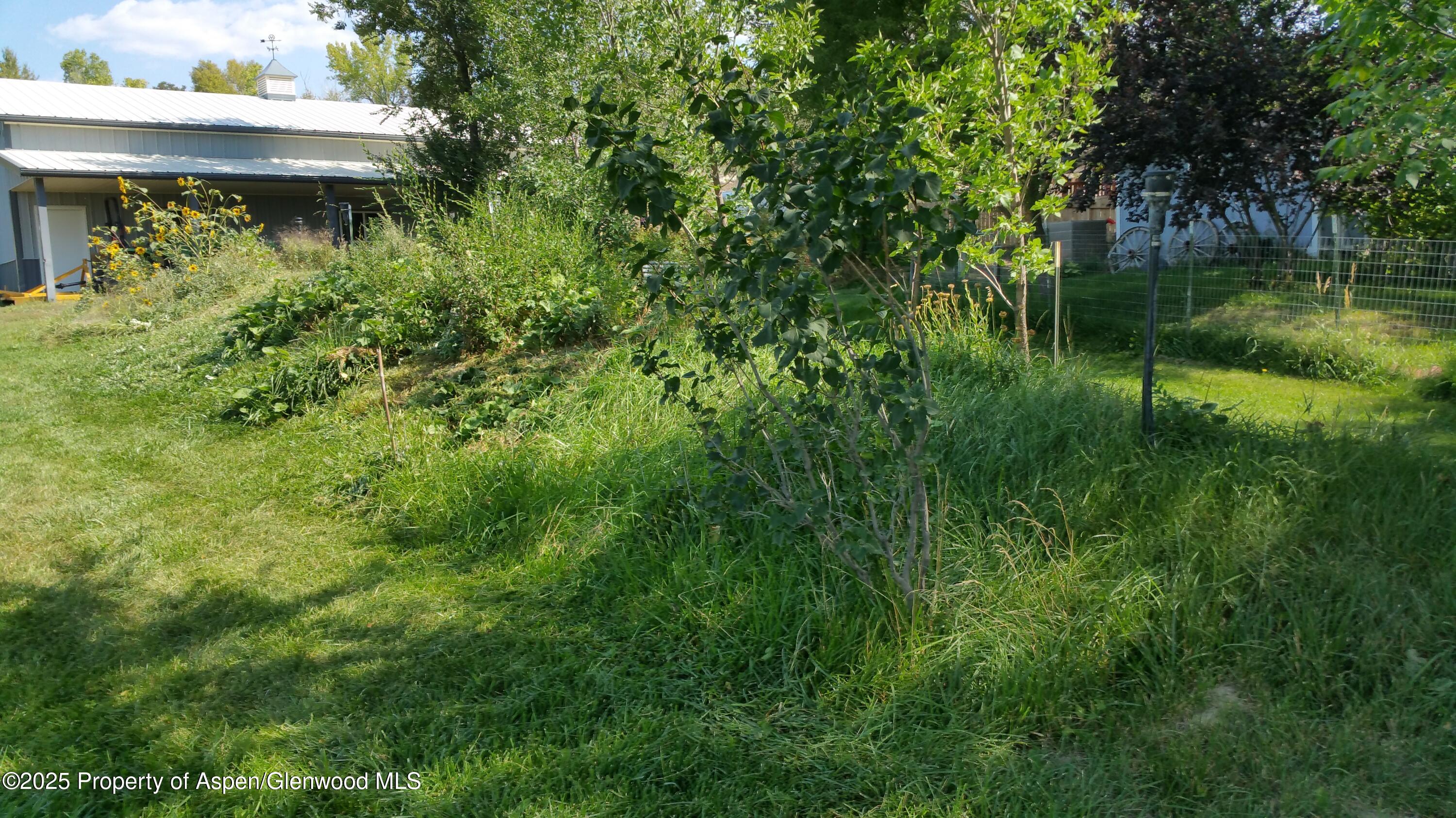 4243 Peach Valley Road Silt, CO 81652 - Photo 16 of 55 20170904_112016