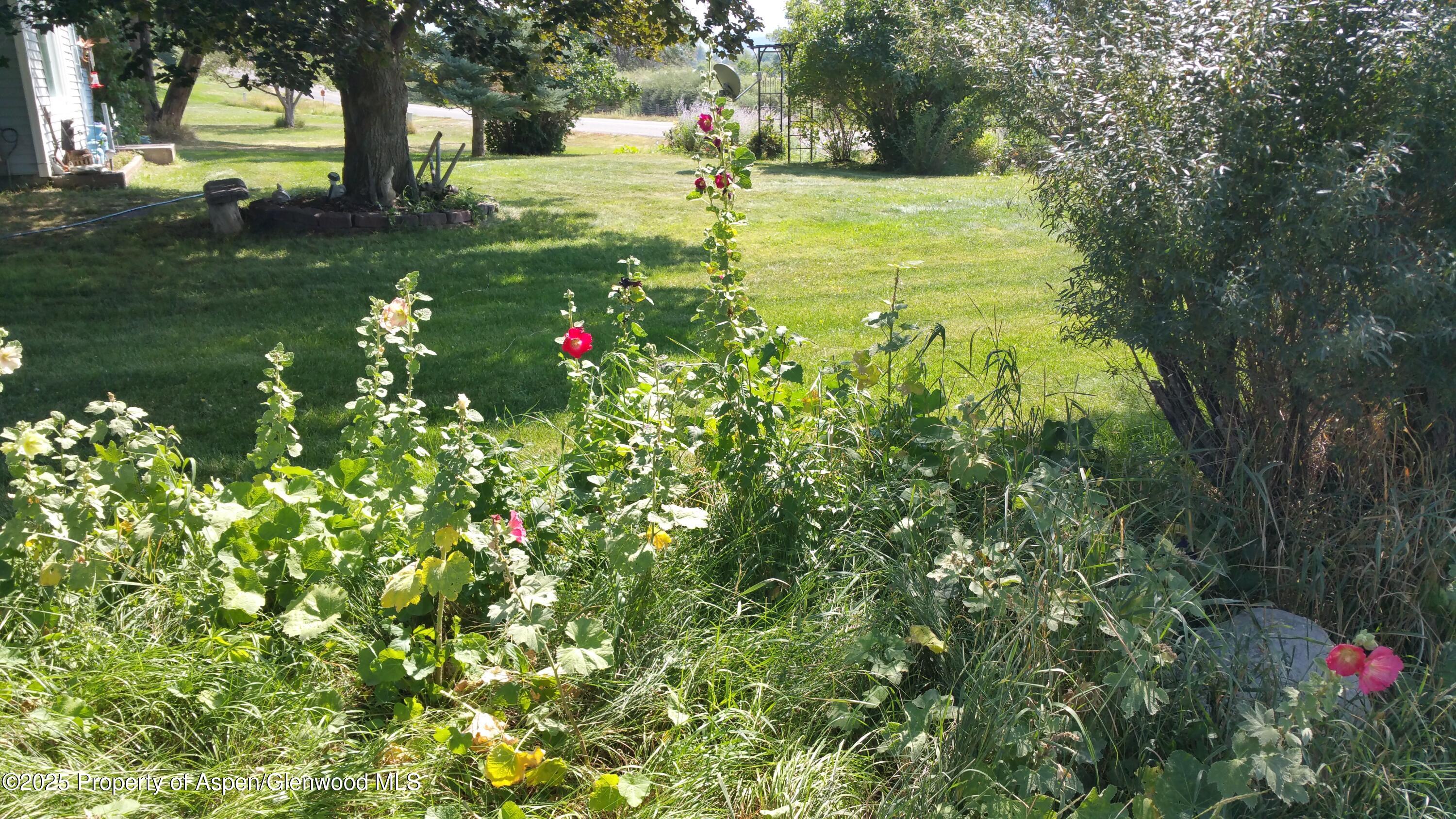 4243 Peach Valley Road Silt, CO 81652 - Photo 21 of 55 20170904_112109