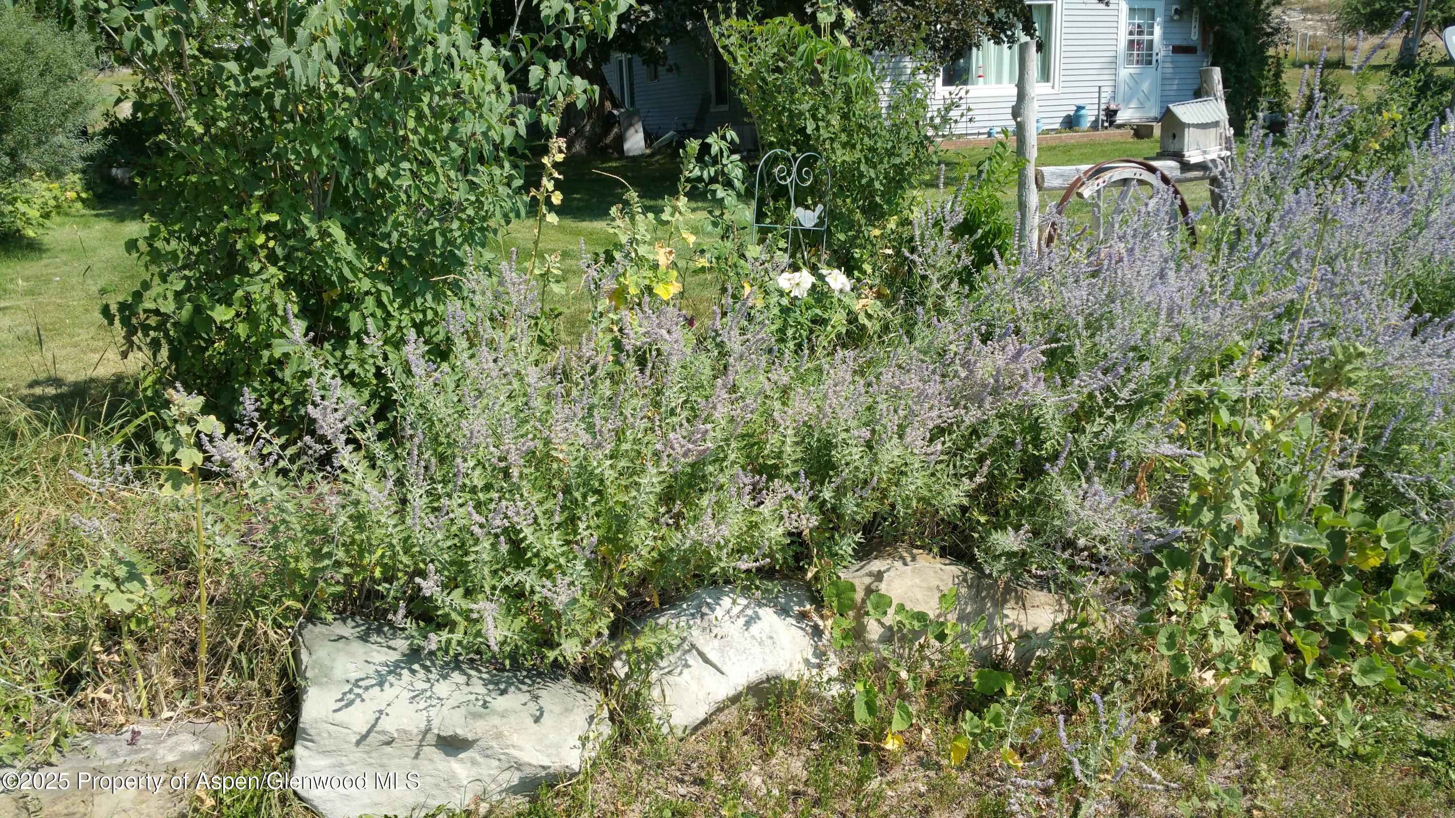 4243 Peach Valley Road Silt, CO 81652 - Photo 23 of 55 20170904_112140
