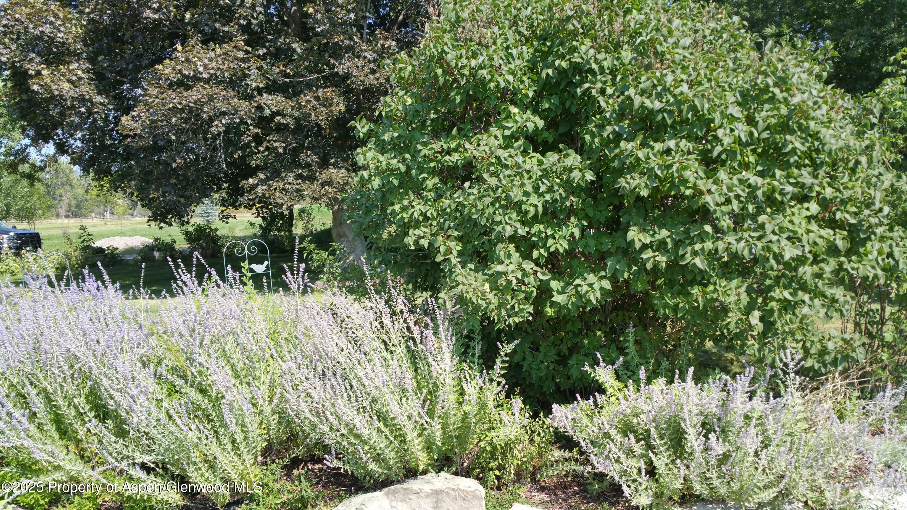 4243 Peach Valley Road Silt, CO 81652 - Photo 25 of 55 20170904_112203