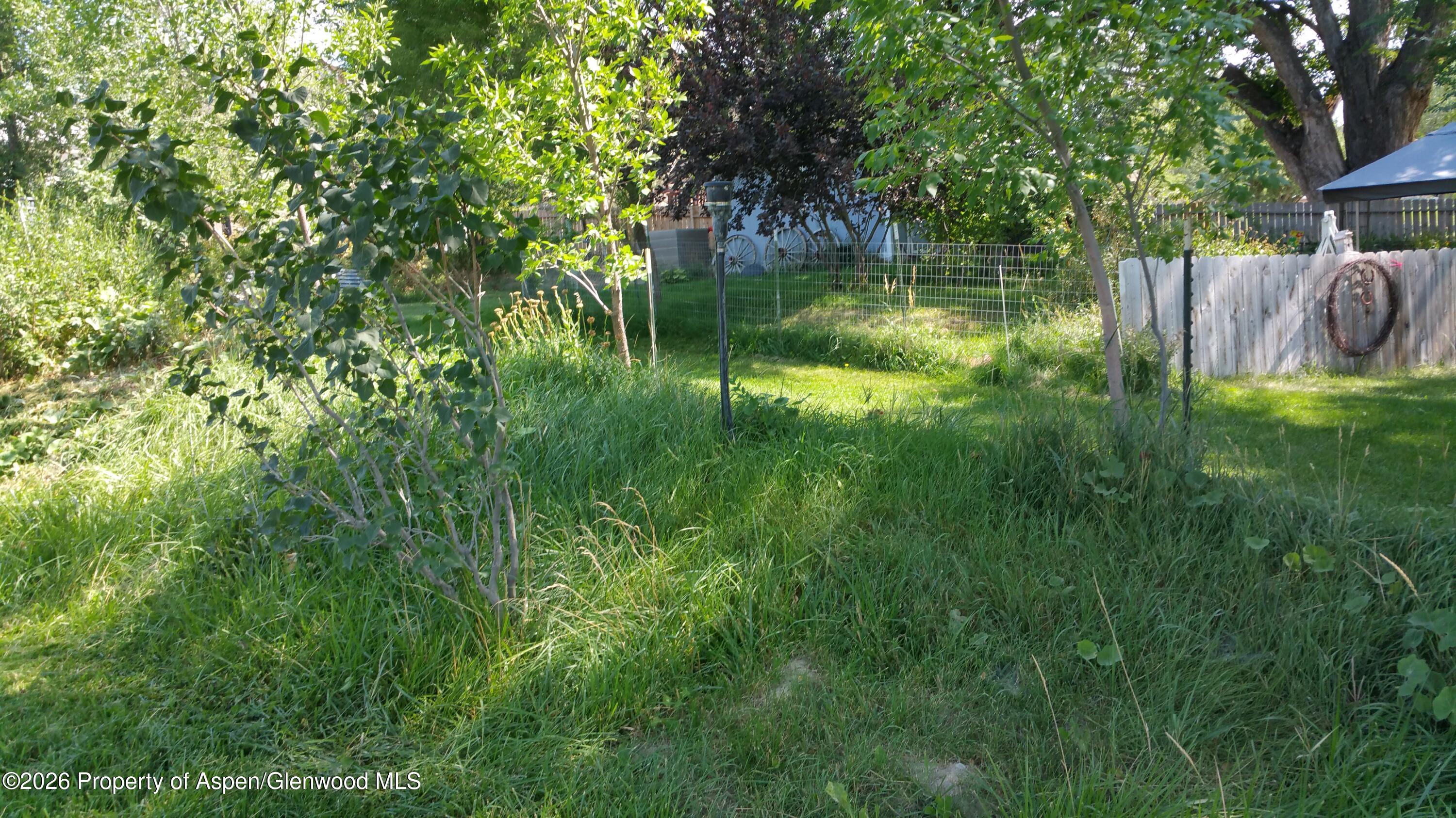 4243 Peach Valley Road Silt, CO 81652 - Photo 34 of 55 20170904_112018