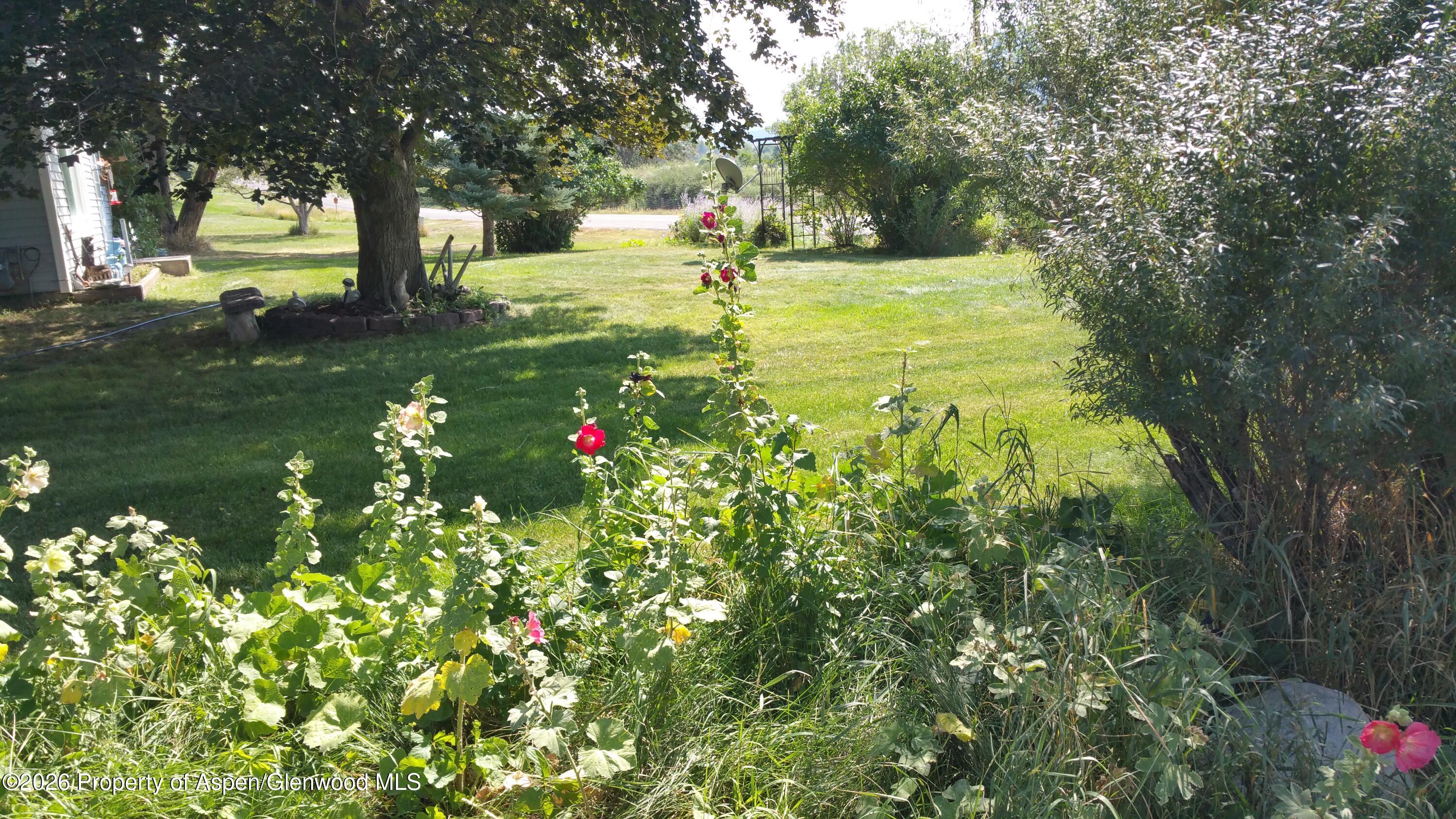 4243 Peach Valley Road Silt, CO 81652 - Photo 35 of 55 20170904_112111