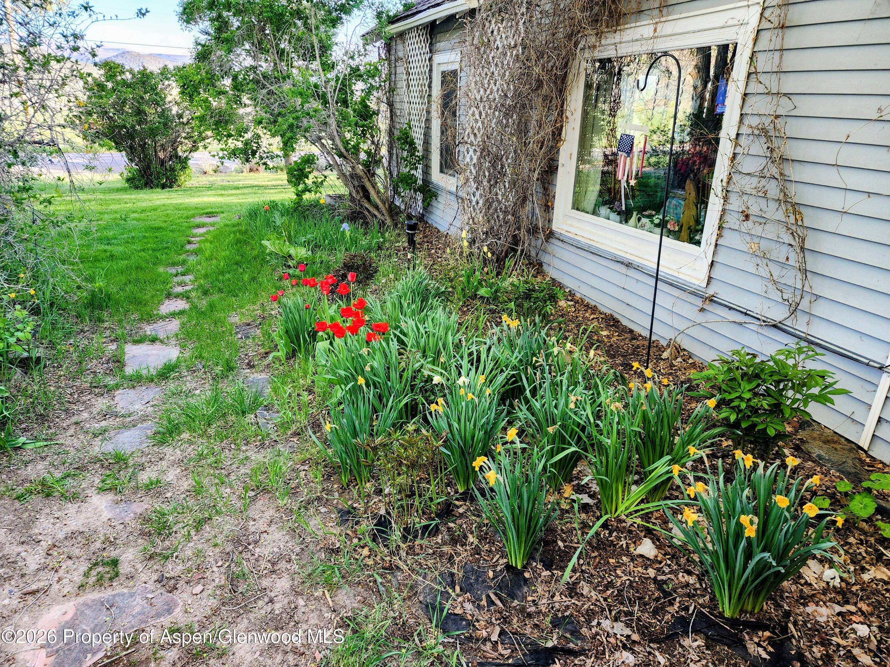 4243 Peach Valley Road Silt, CO 81652 - Photo 39 of 55 floweres 3 - Copy