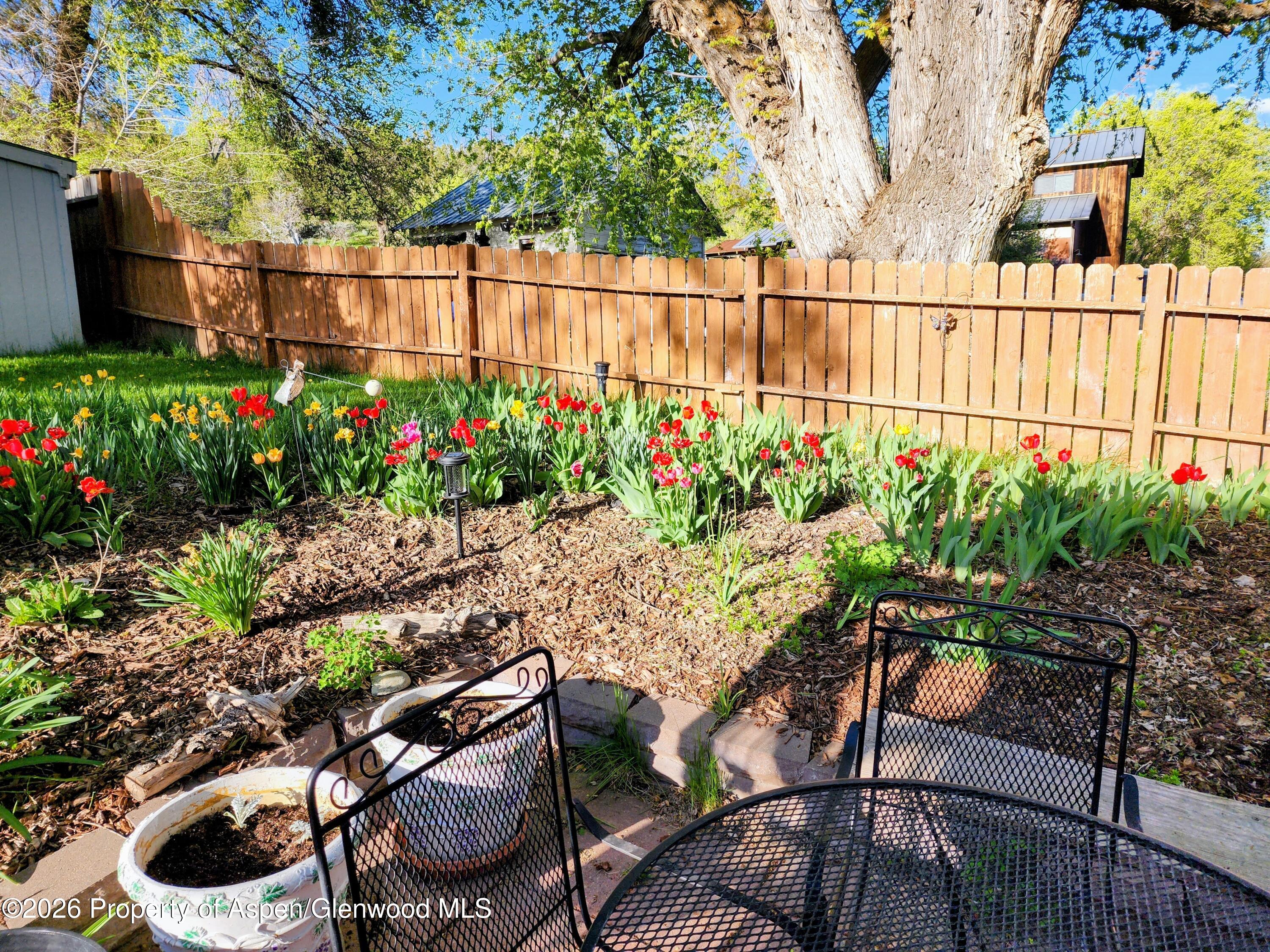 4243 Peach Valley Road Silt, CO 81652 - Photo 42 of 55 flowers 2 - Copy