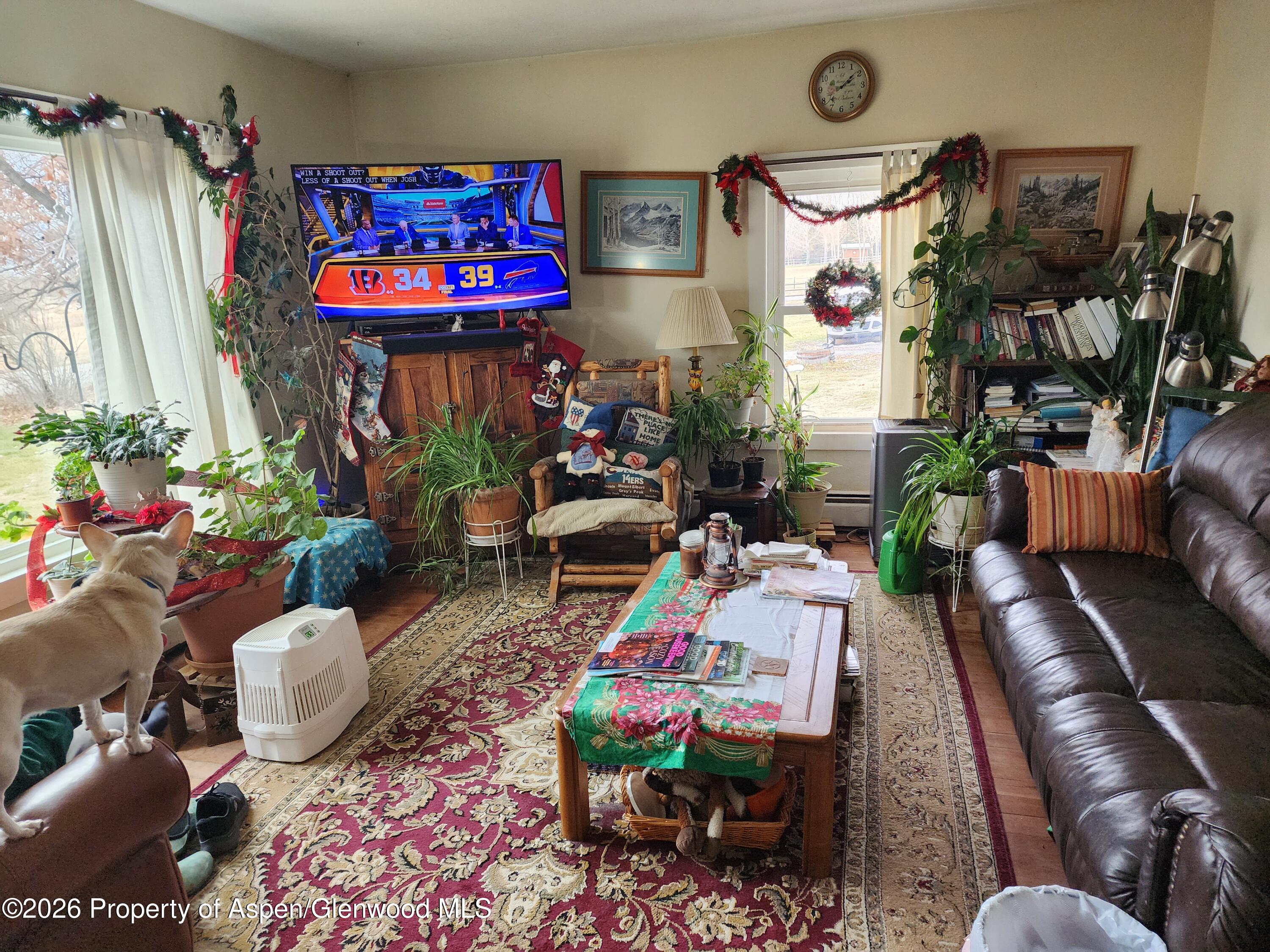 4243 Peach Valley Road Silt, CO 81652 - Photo 45 of 55 Living room 3