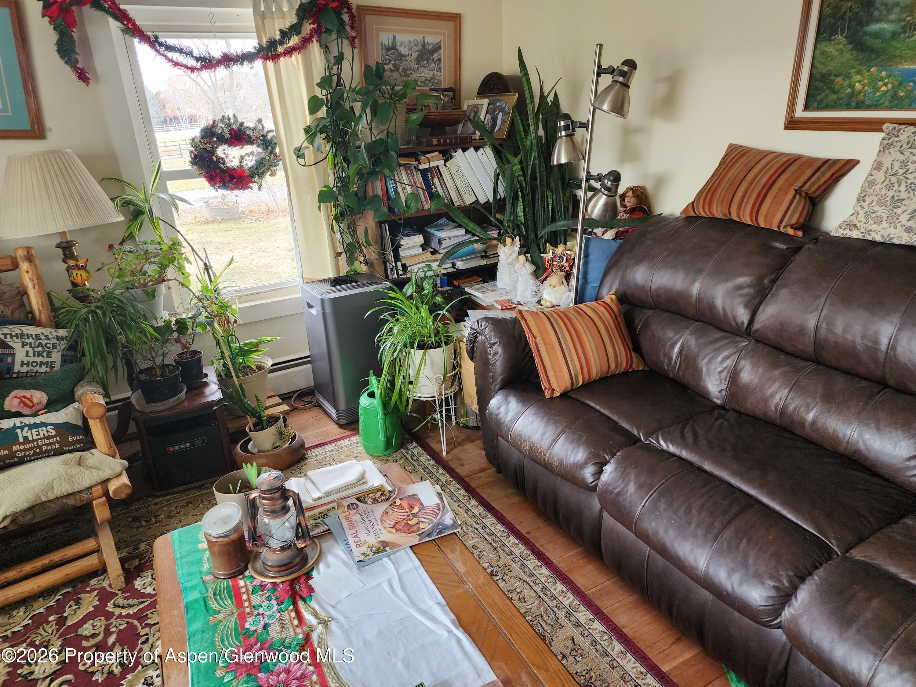 4243 Peach Valley Road Silt, CO 81652 - Photo 46 of 55 Living room 4 - Copy