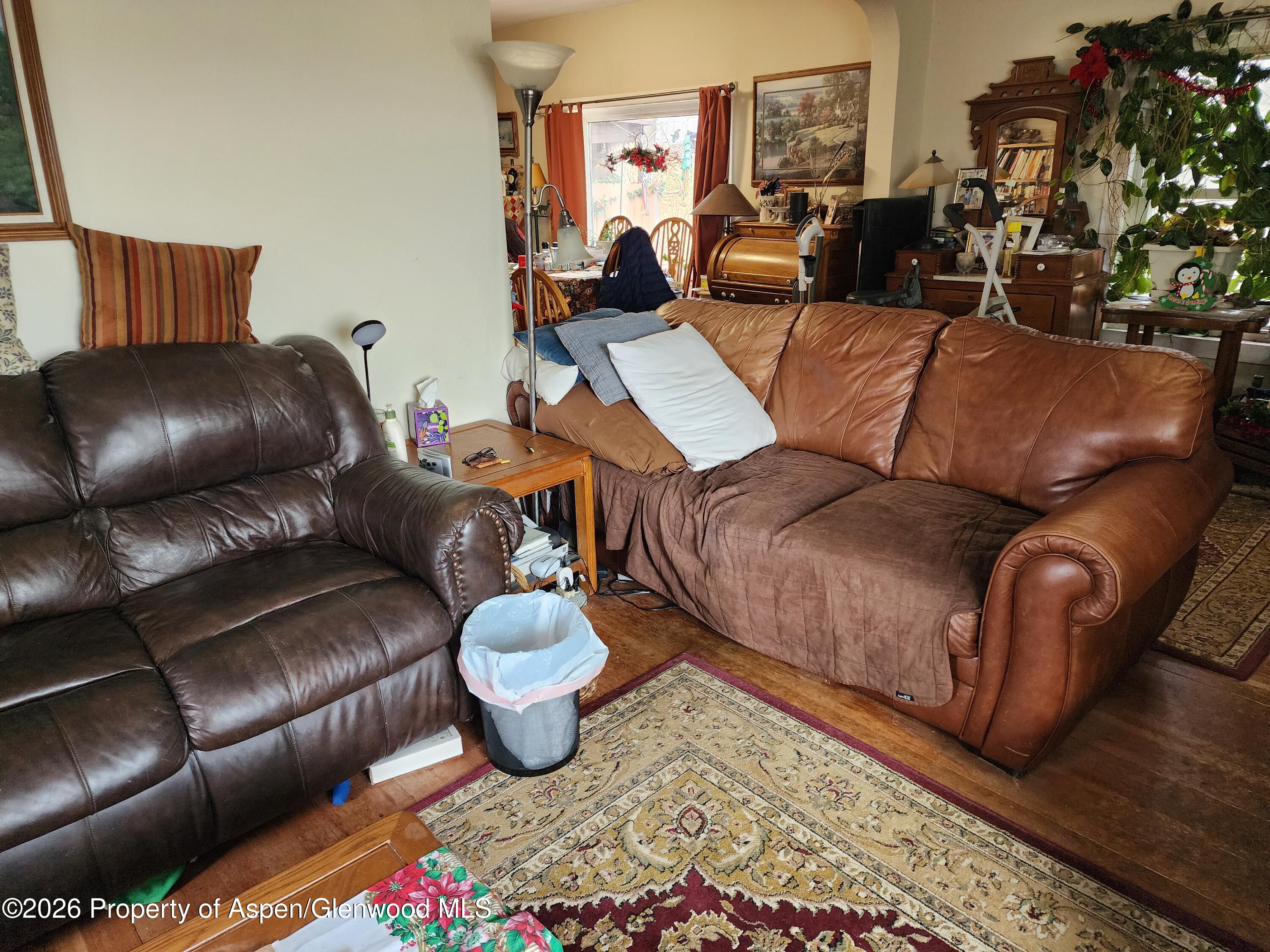 4243 Peach Valley Road Silt, CO 81652 - Photo 47 of 55 Living room 5 - Copy
